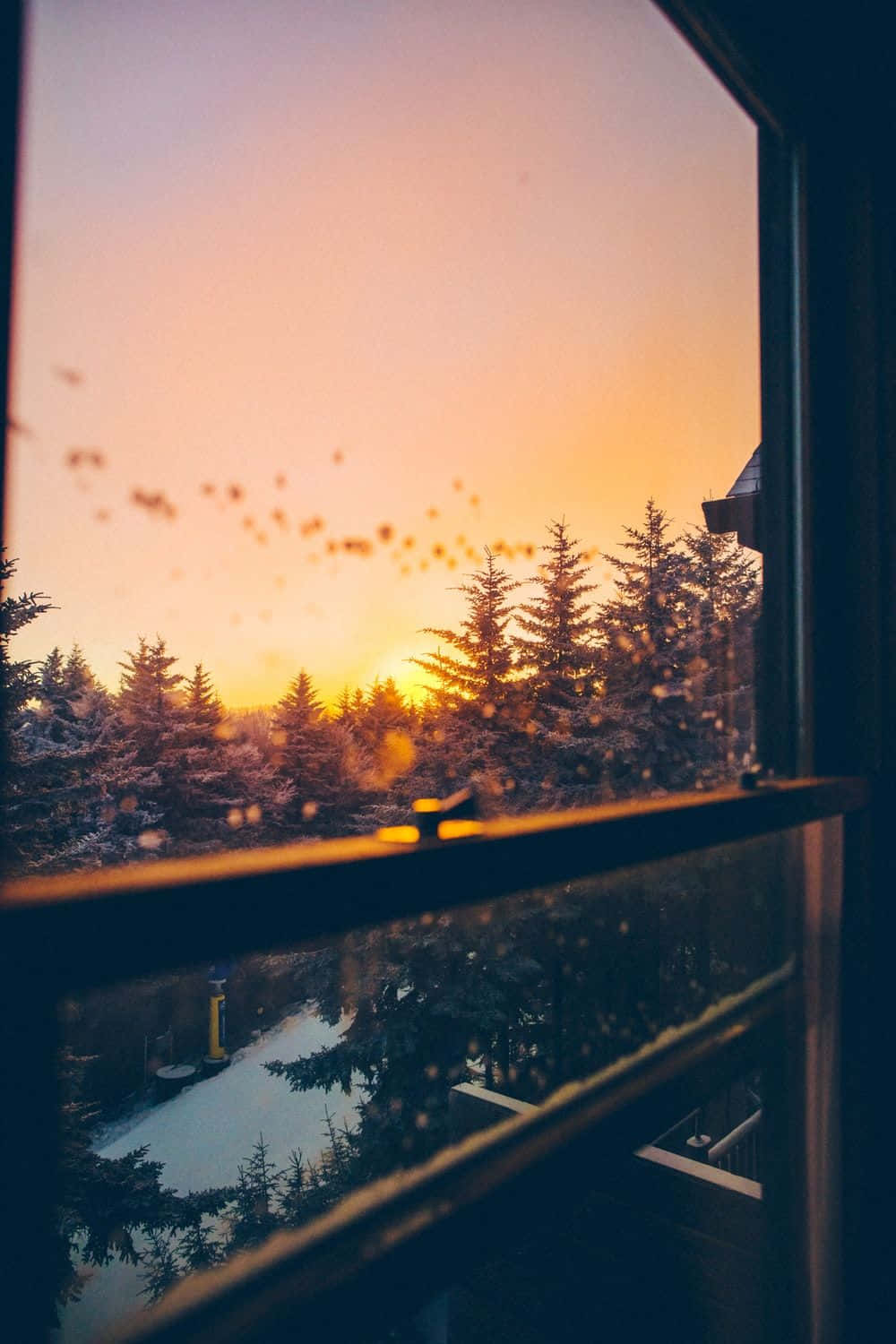 Cozy iPhone 桌布 壁紙 — 夕陽穿過結霜的窗戶，映照著白雪覆蓋的松樹和下方的冰凍湖泊。