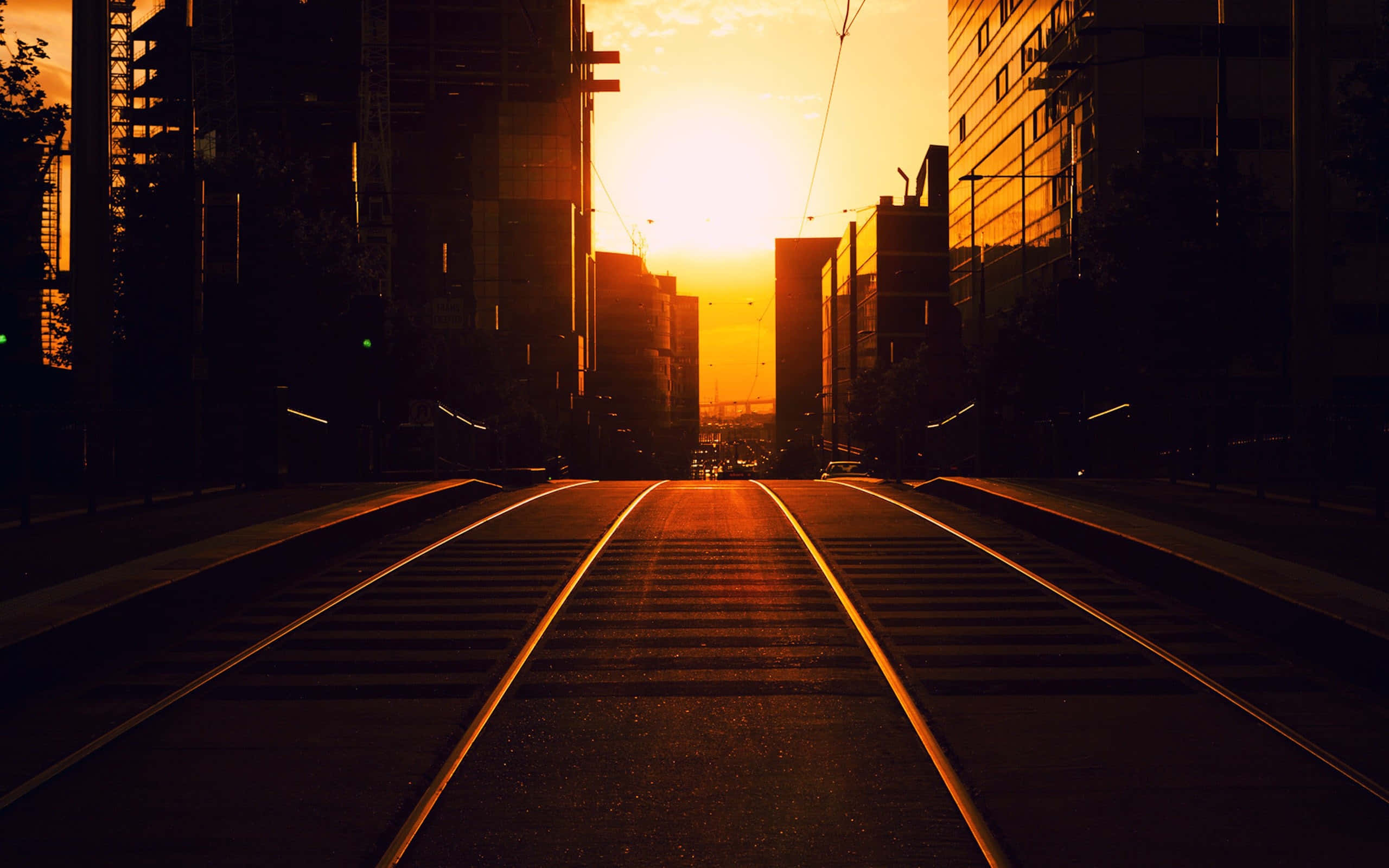 City Street 桌布 壁紙 — 夕陽穿過高聳的城市建築，投射出金色的光芒，勾勒出空蕩蕩的電車軌道，向地平線匯聚。
