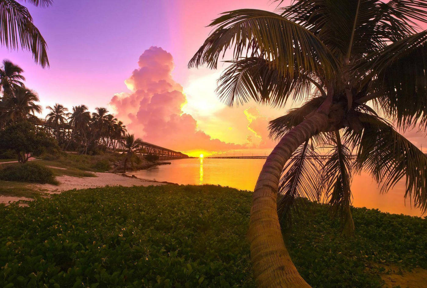 海景 桌布 壁紙 — 夕陽色彩繽紛，將天空染成粉紅色和橙色，棕櫚樹襯托著平靜水面上的一座長橋。