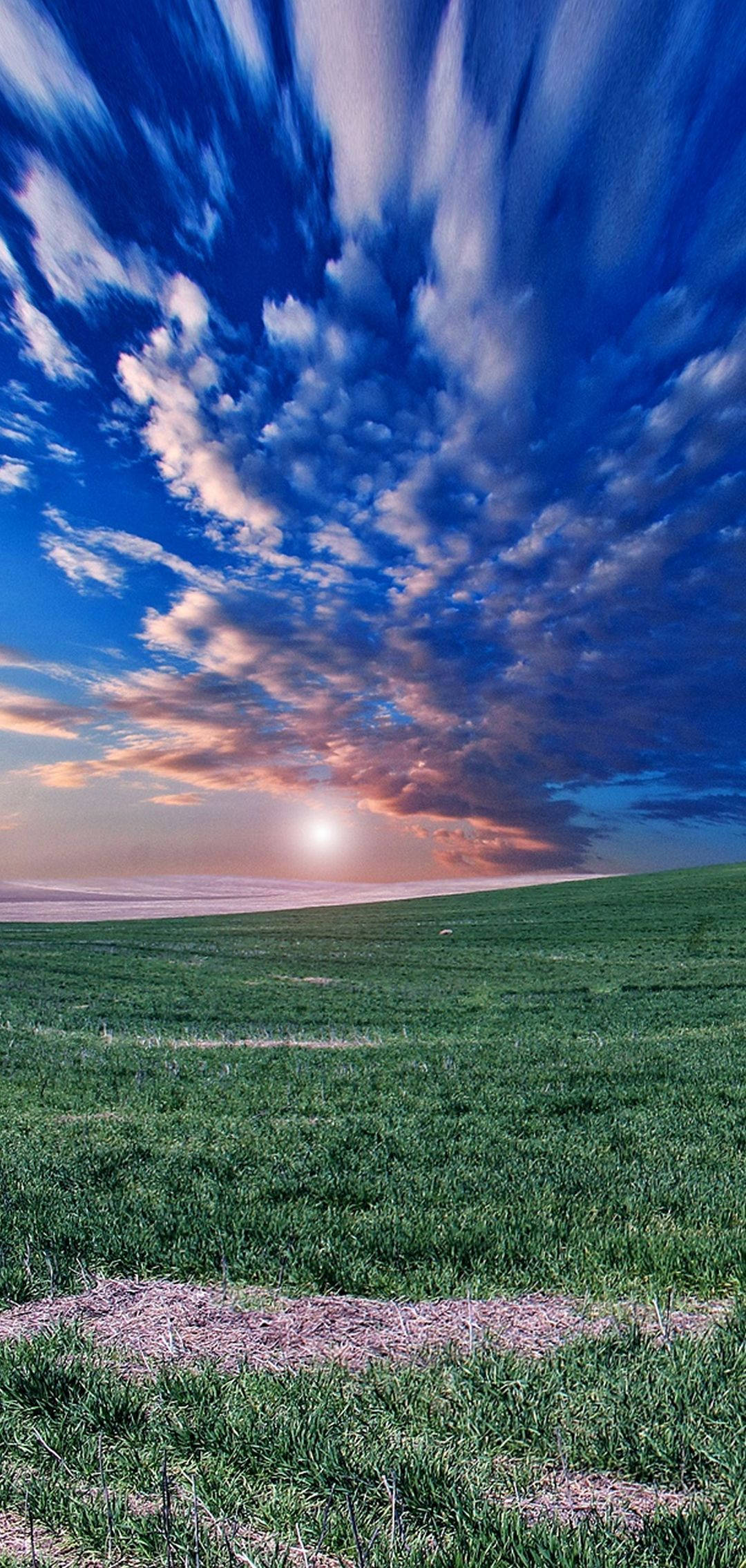 Landscapes 桌布 壁紙 — 夕陽西下，在廣闊的綠色草地上，天空被染成火橙色和深藍色的雲彩。