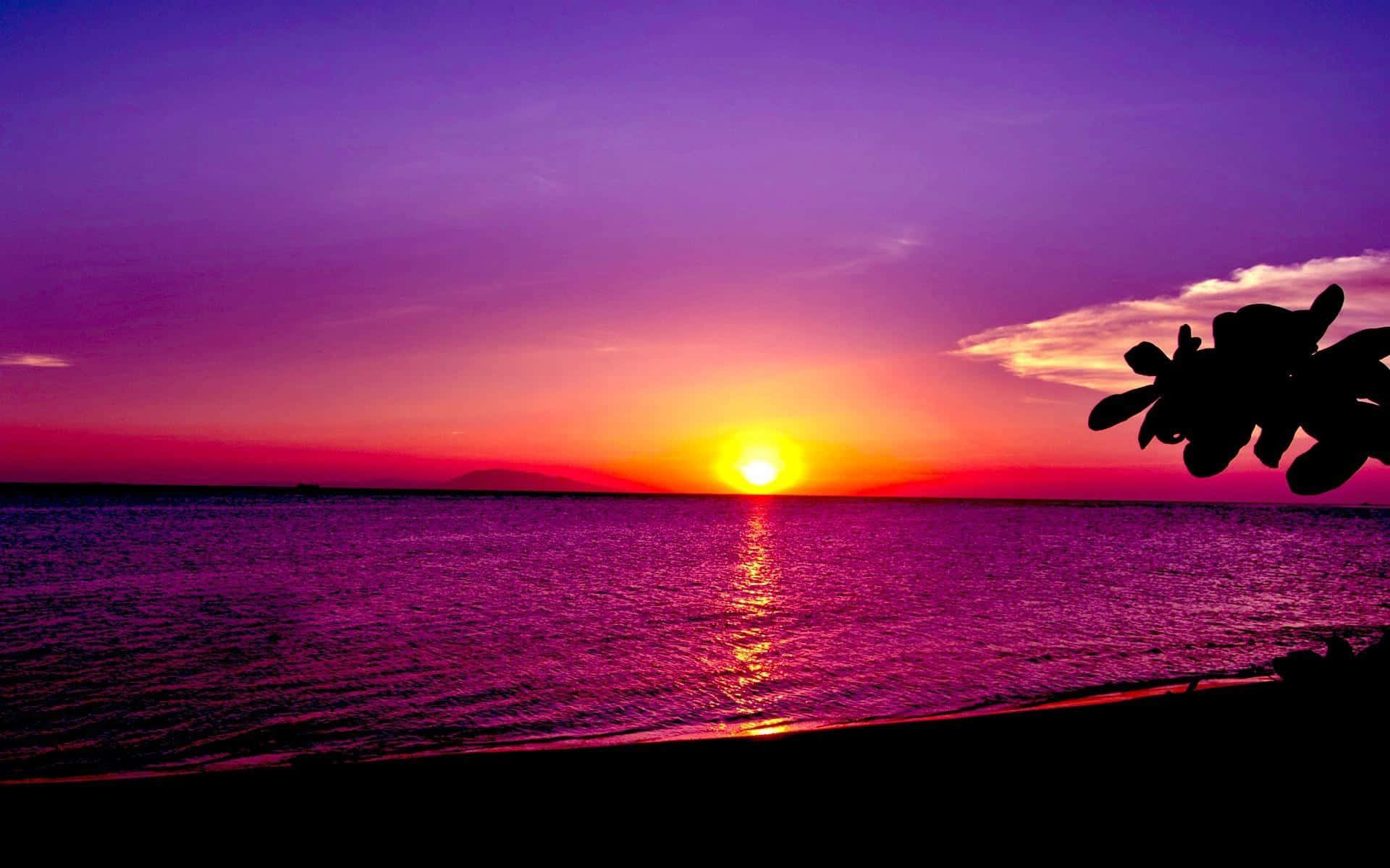 日落 桌布 壁紙 — 夕陽西下，天空染上紫色和橙色，太陽沉入地平線下的平靜水面，前景有棕櫚樹的剪影。