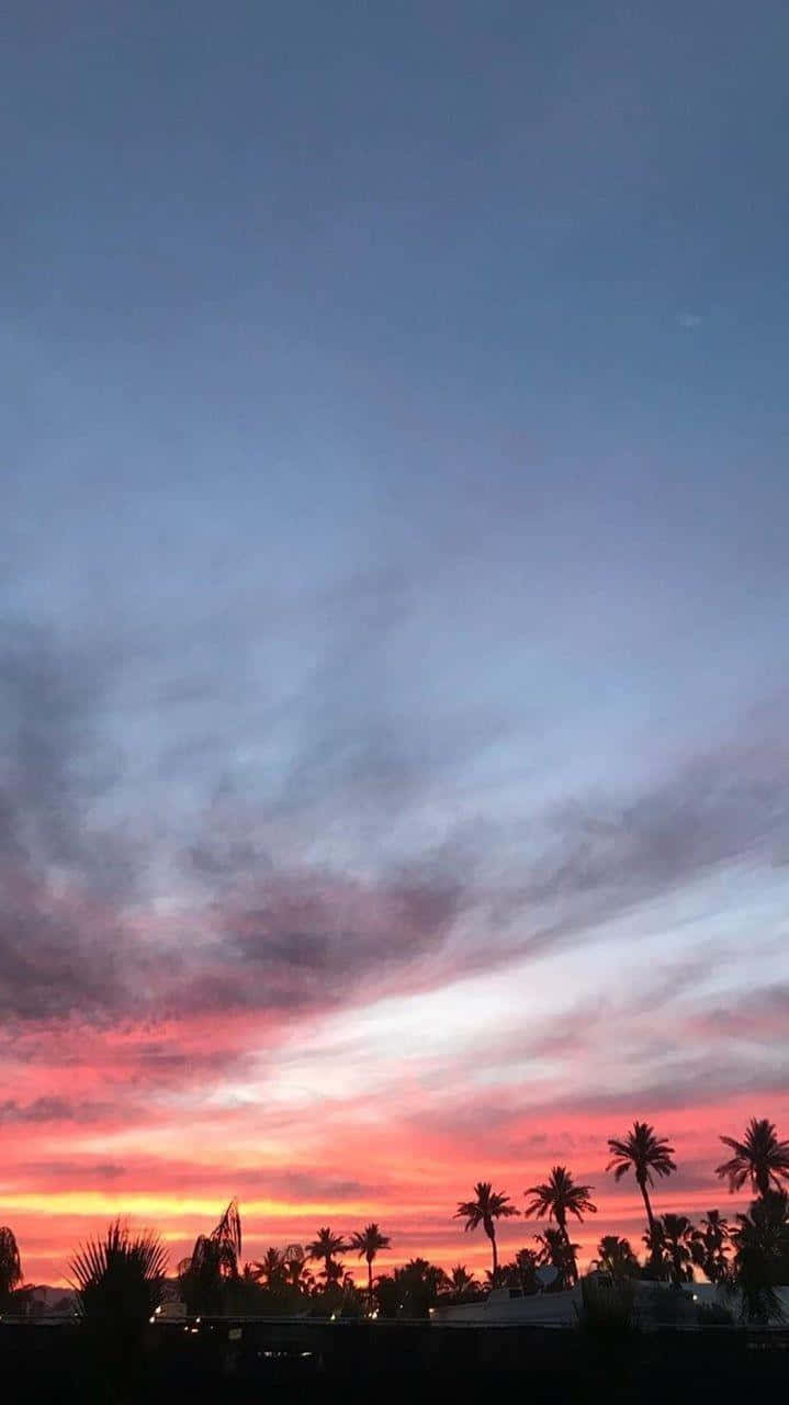 Blue Sky Aesthetic 桌布 壁紙 — 夕陽西下，天空被染成火熱的橙色和粉紅色，棕櫚樹的剪影在天空下格外醒目。
