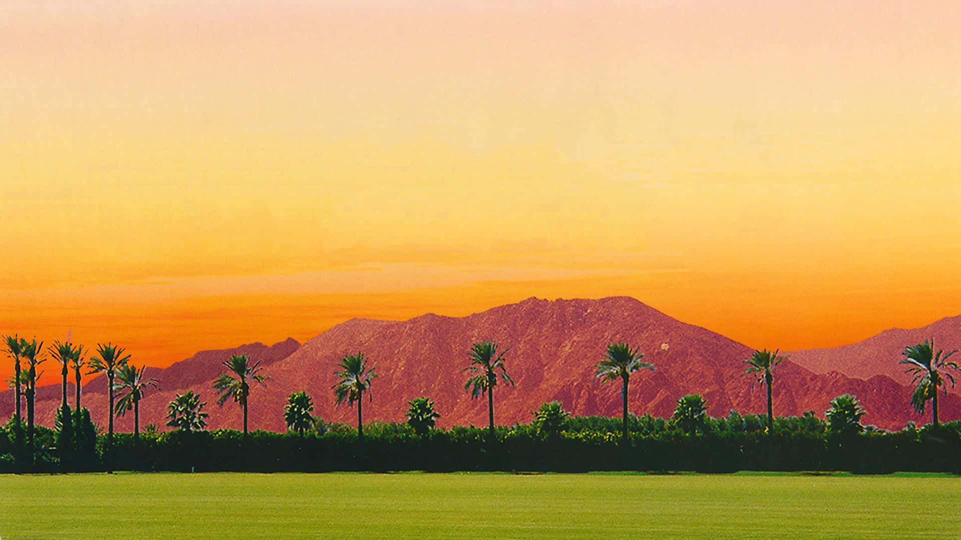 Coachella 桌布 壁紙 — 夕陽西下，沙漠山脈沐浴在橙色的光芒中，下方是一片綠油油的田野，兩旁種滿了棕櫚樹。