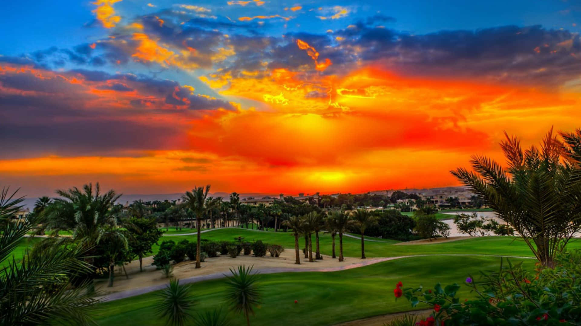 Golf Course 桌布 壁紙 — 夕陽西下，火紅與深藍交織，映照在棕櫚樹環繞的翠綠高爾夫球場上。