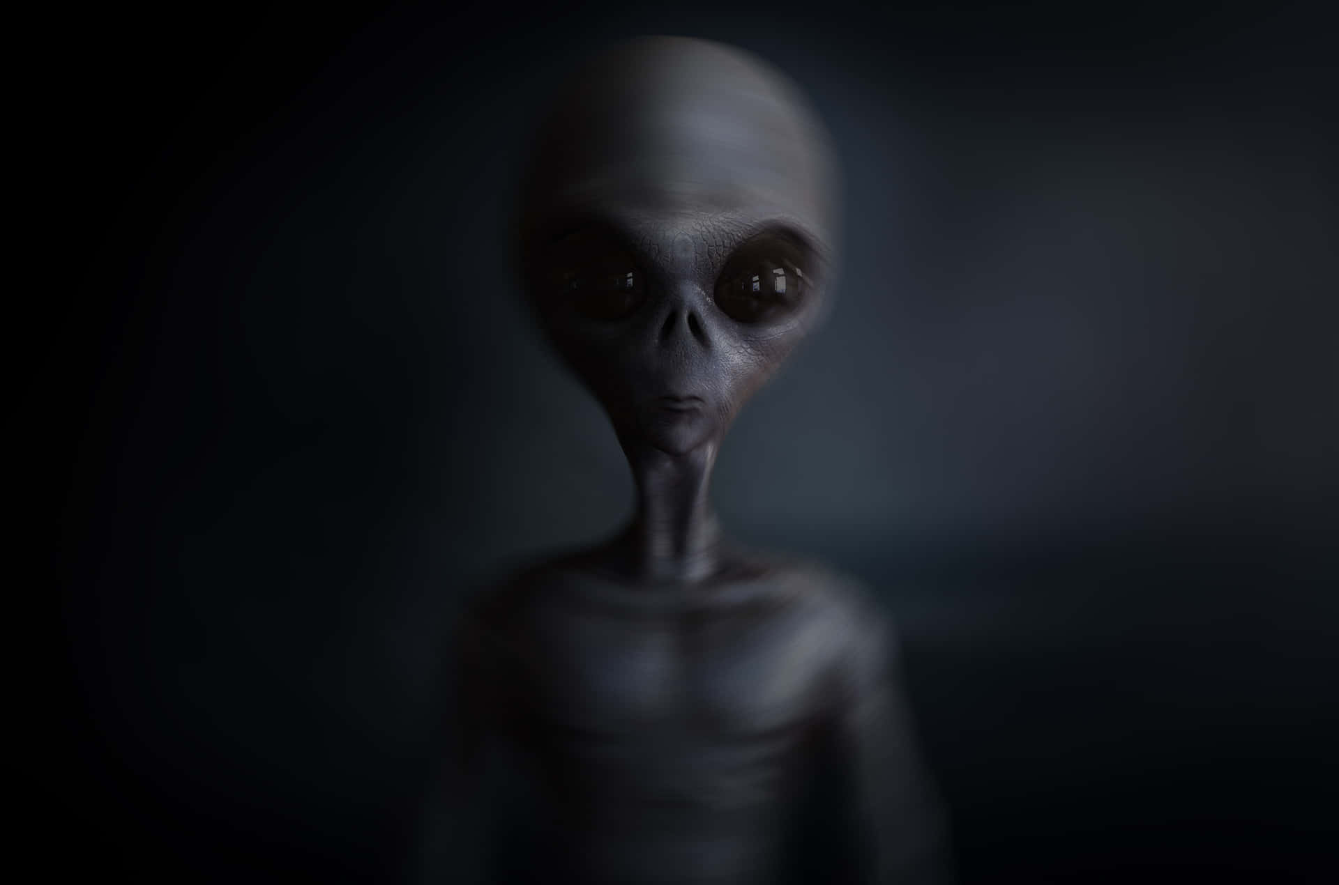 外星人圖片 — 外星人 GIF 壁紙