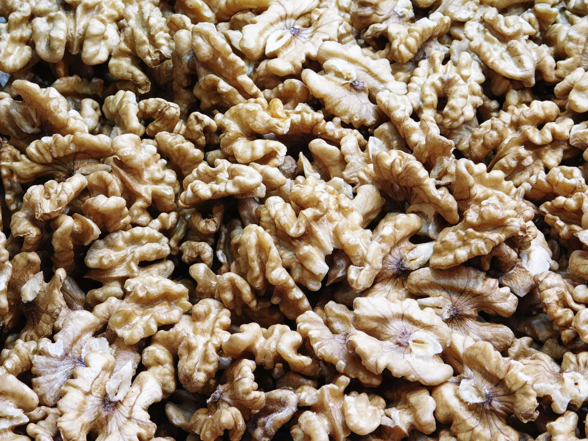 Nuts without shell 壁紙 — 多個帶殼核桃的特寫，具有複雜的脊狀紋理和溫暖的米色色調，充滿畫面。