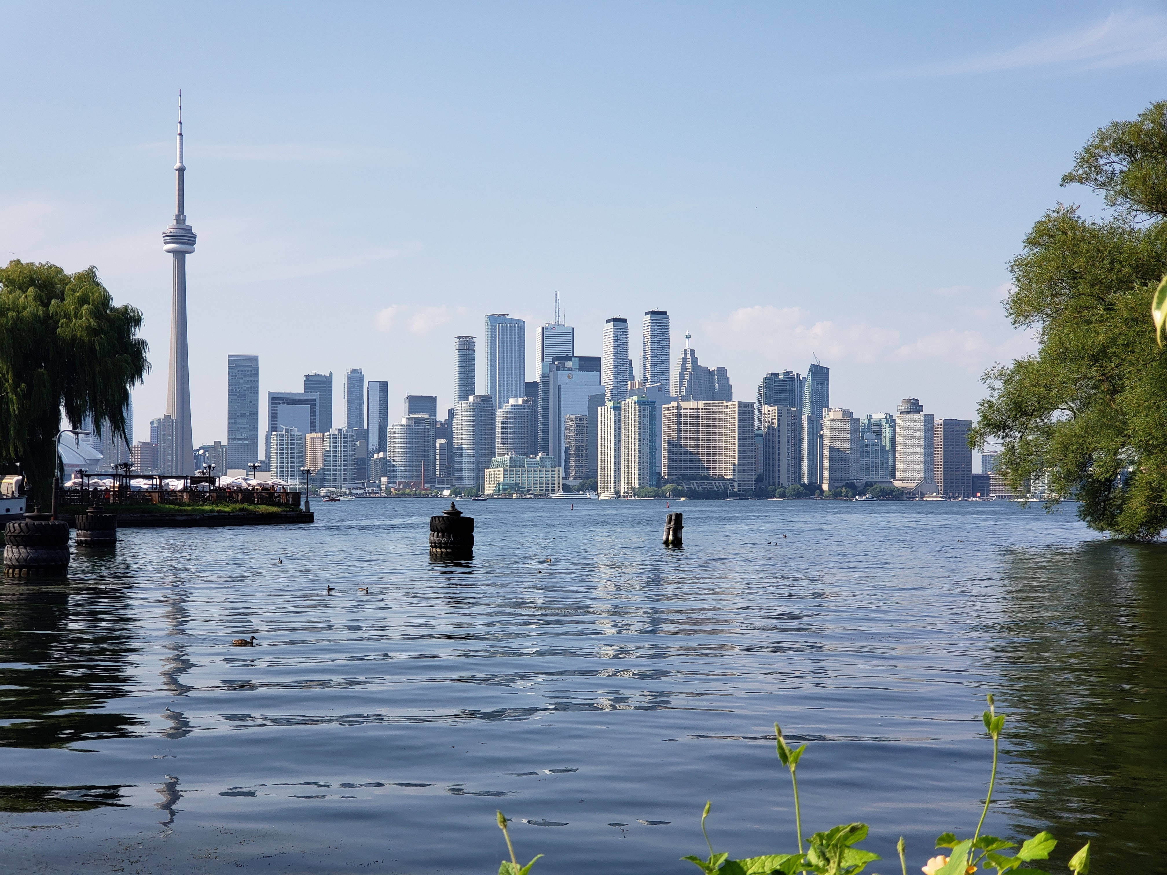 Ontario 桌布 壁紙 — 多倫多天際線，CN塔倒映在平靜的水面上，周圍環繞著茂密的綠樹，陽光明媚。