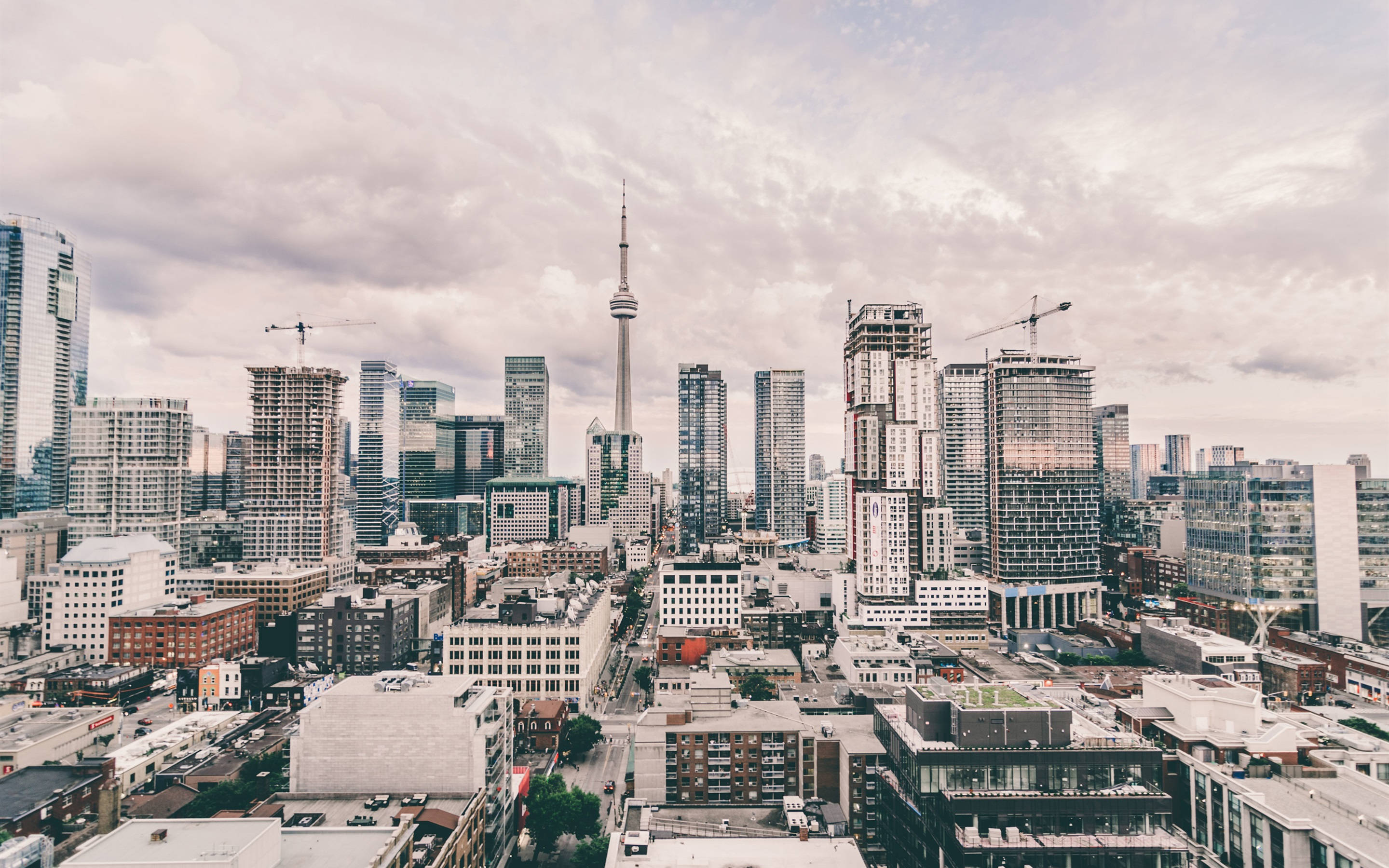 Toronto 桌布 壁紙 — 多倫多天際線的全景，CN塔在現代玻璃摩天大樓和建築起重機之上聳立，天空多雲。