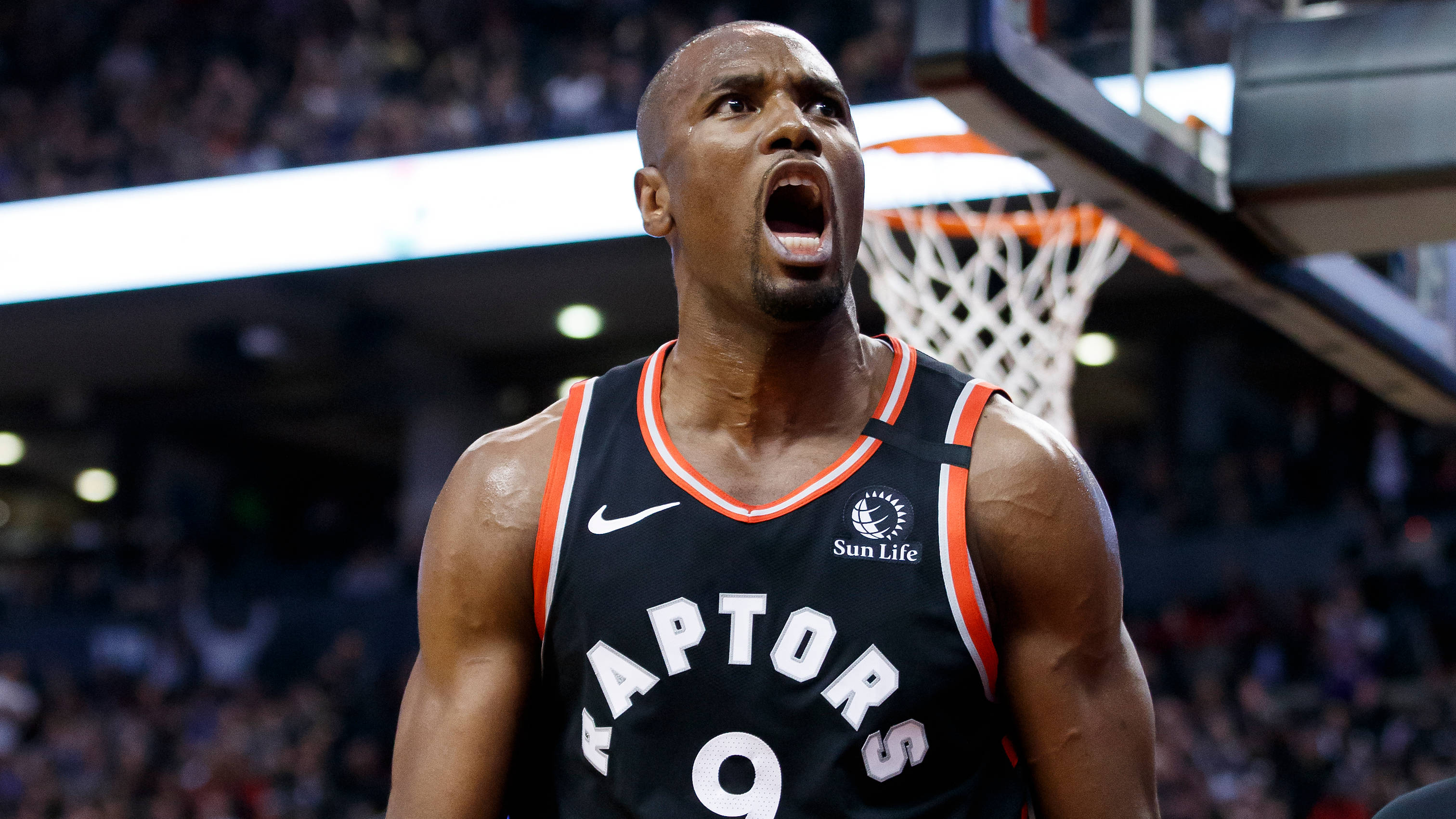 serge ibaka 桌布 壁紙 — 多倫多暴龍隊籃球運動員在明亮的場館燈光下比賽時，以強烈的專注力咆哮。