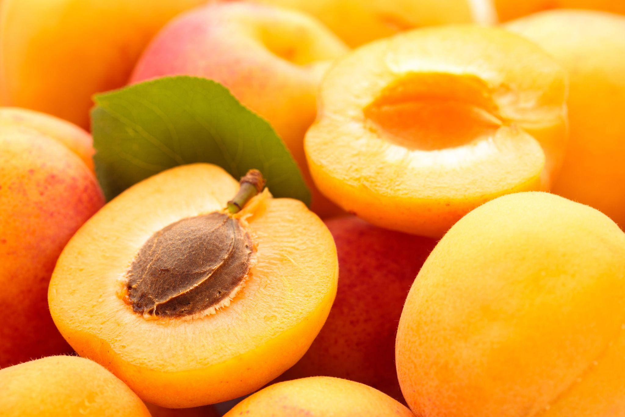 Apricot 桌布 壁紙 — 多汁成熟的杏子，帶有充滿活力的橙色果肉，一片綠葉藏在整個水果之間。