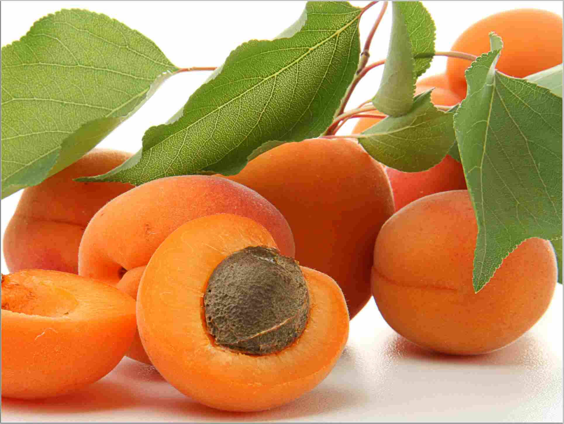 Fruits 桌布 壁紙 — 多汁成熟的杏子，帶有綠葉，其中一個切半，在明亮的白色背景上顯示其深色果核。