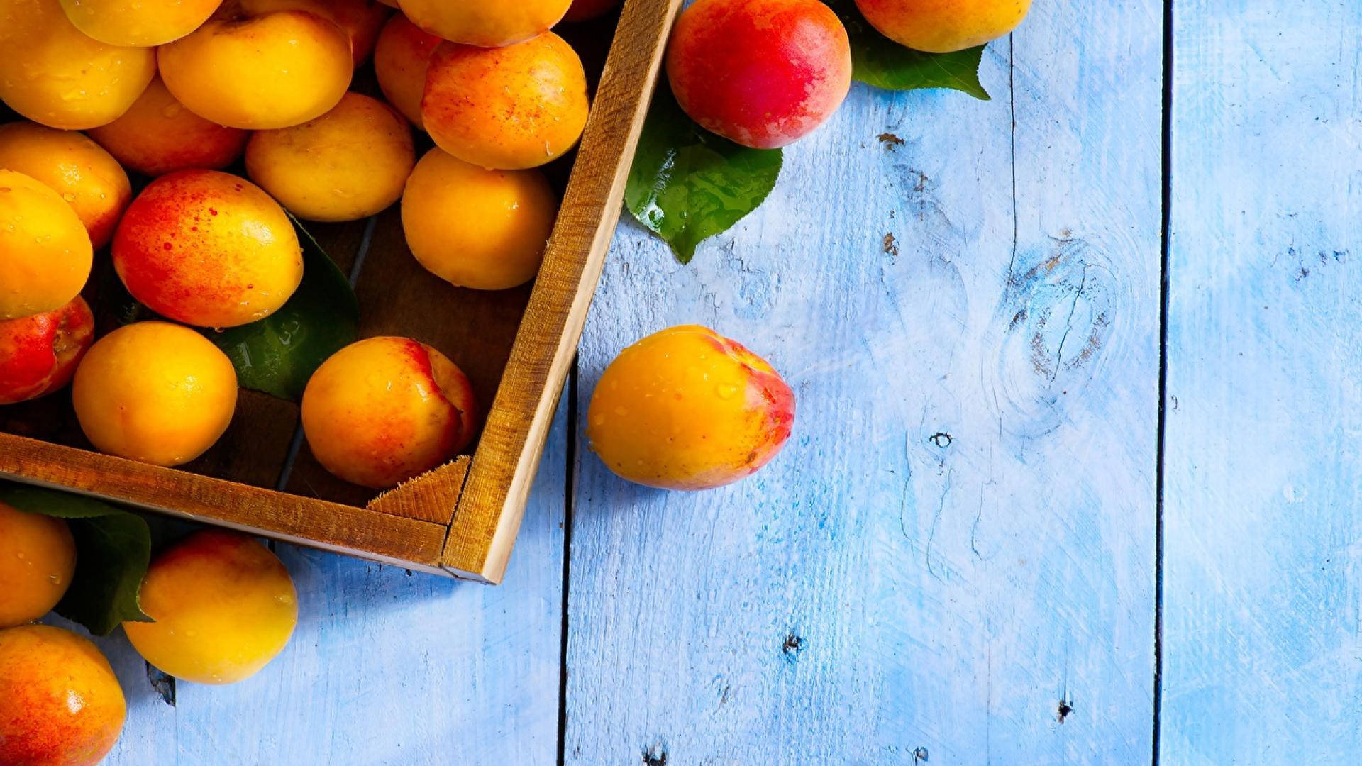 Fruits 桌布 壁紙 — 多汁成熟的杏子帶著露珠從木箱中灑落在風化的藍色木質表面上。