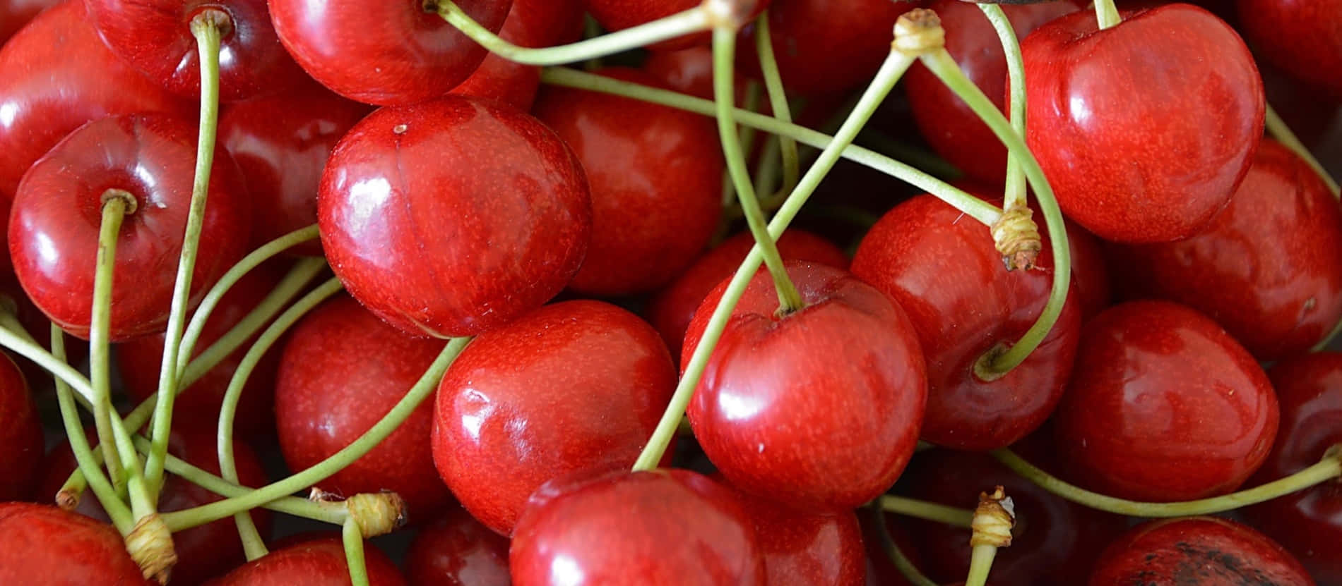 Red Cherries 桌布 壁紙 — 多汁成熟的櫻桃，帶有光澤的紅色外皮和綠色莖，堆疊在一起，呈現充滿活力的特寫。