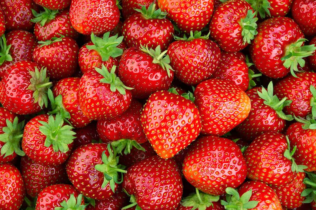 Strawberries 桌布 壁紙 — 多汁成熟的草莓，帶綠色頂部，密集堆疊成鮮紅色的簇狀。