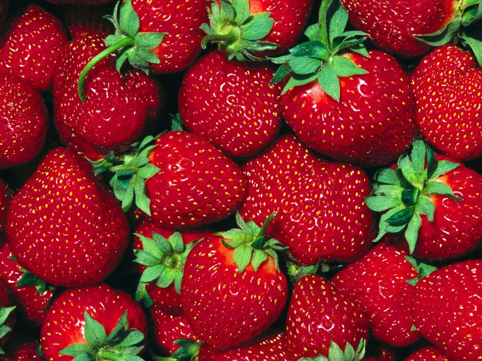 Cute Strawberry 桌布 壁紙 — 多汁成熟的草莓帶有綠色頂部，在明亮光線下閃閃發光，呈現充滿活力的特寫。