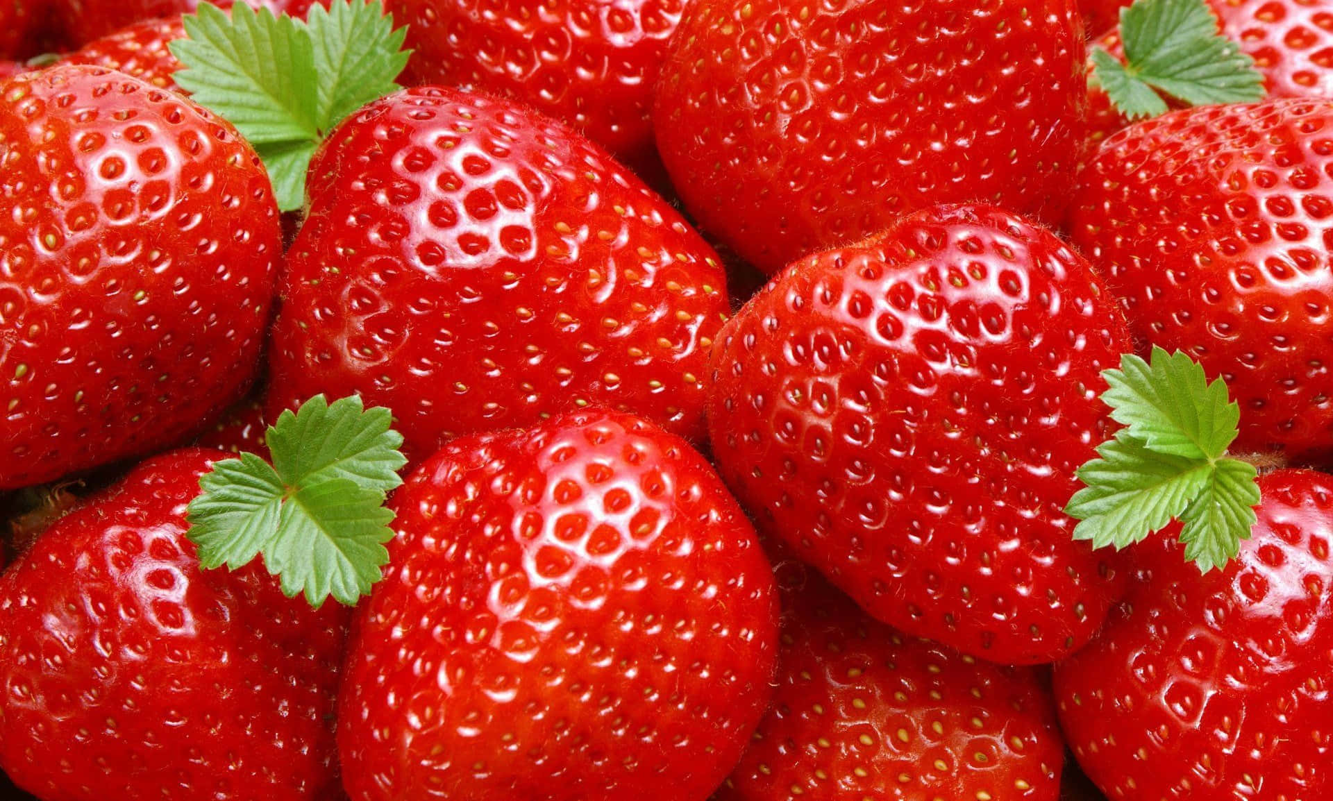 Red Strawberry 桌布 壁紙 — 多汁成熟的草莓配以綠葉，在特寫鏡頭下於明亮光線中閃閃發光。