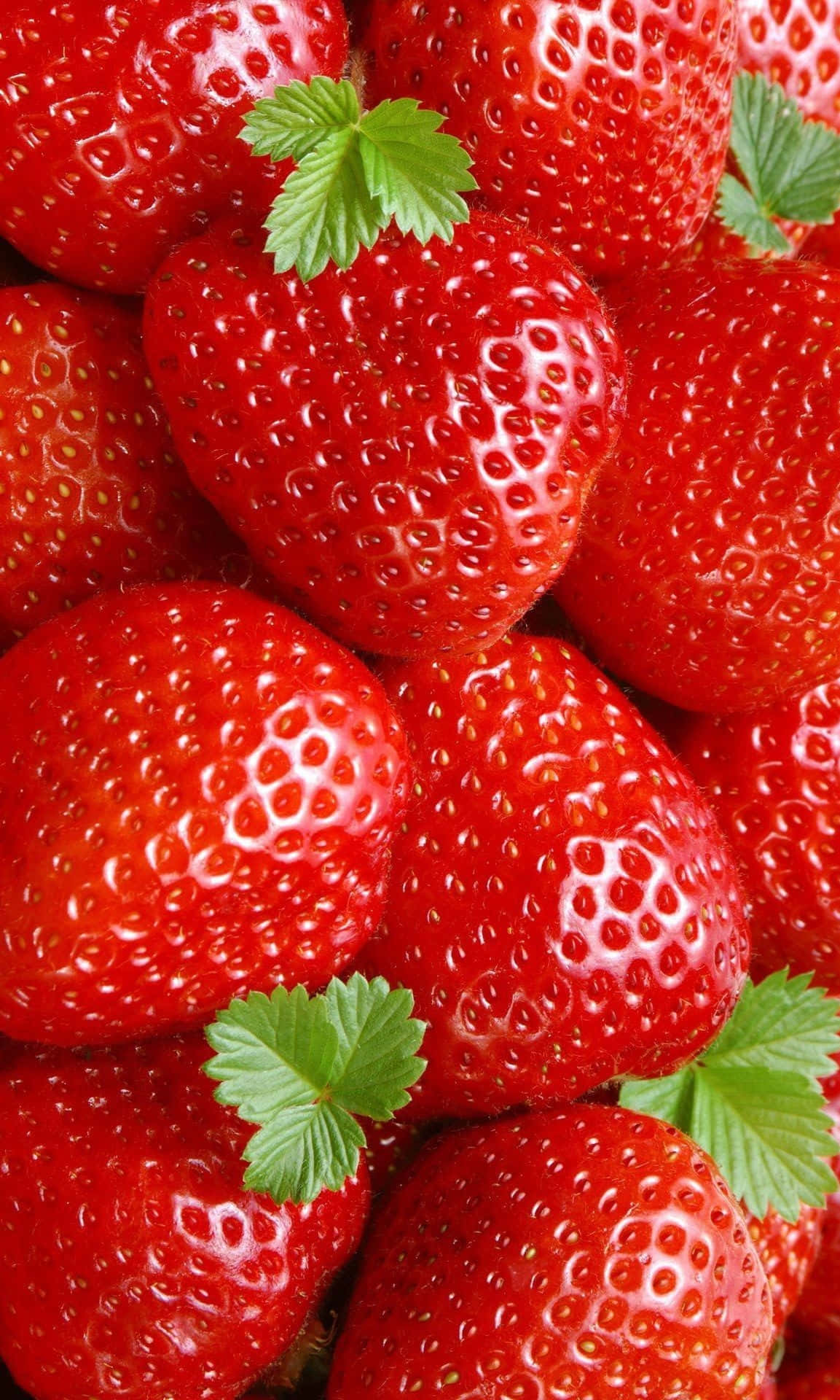 Cute Strawberry 桌布 壁紙 — 多汁成熟的草莓配以綠葉，在特寫鏡頭下於明亮光線中閃閃發光。