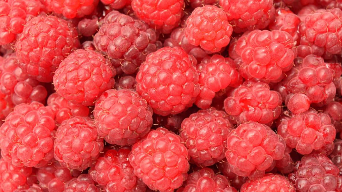 Red Fruit 桌布 壁紙 — 多汁成熟的覆盆子堆疊在一起，展現鮮豔的紅色色調和紋理細緻的小核果。