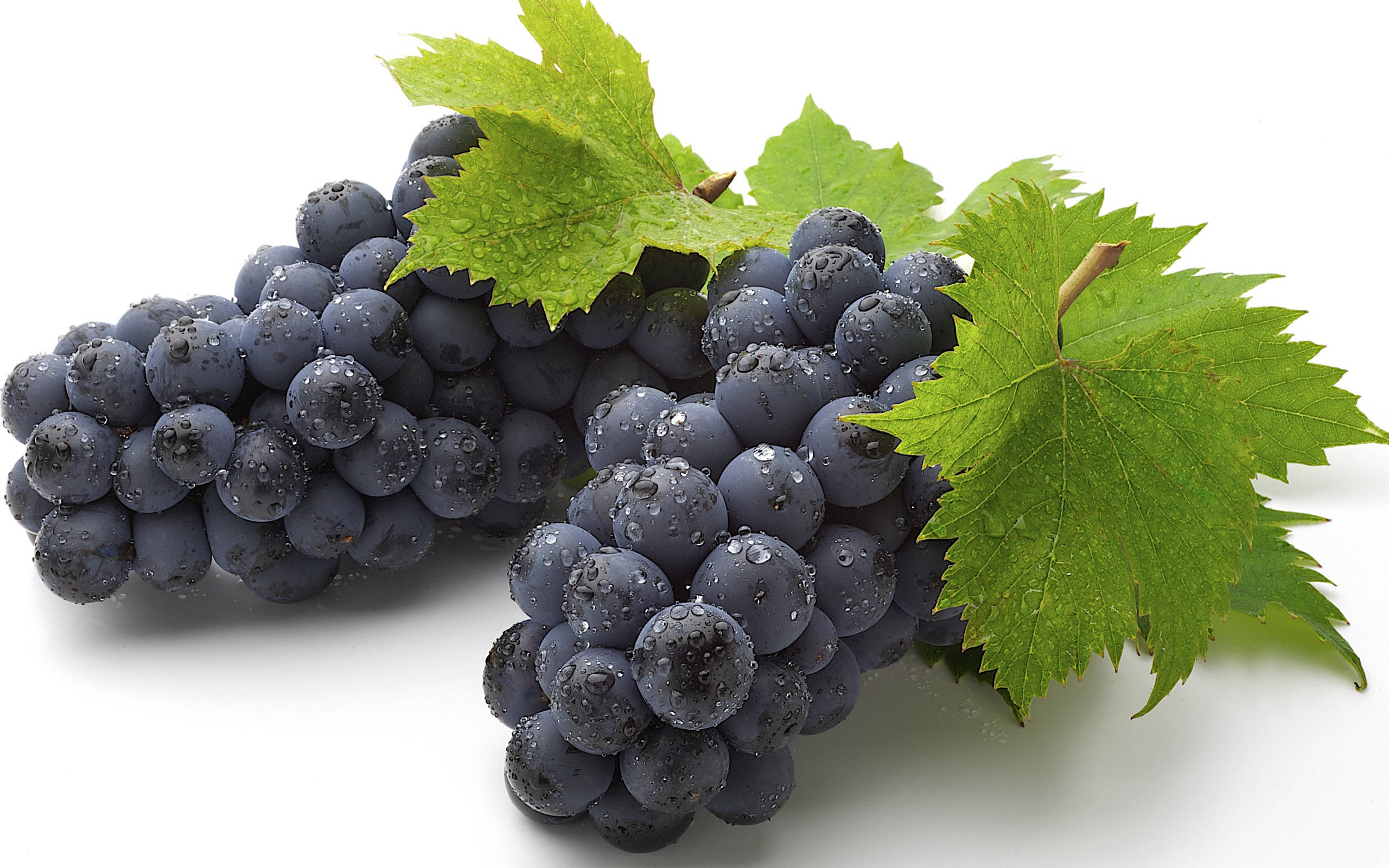 Grape 桌布 壁紙 — 多汁的深紫色葡萄在潔白背景上，旁邊有鮮綠葉片，閃爍著露珠。