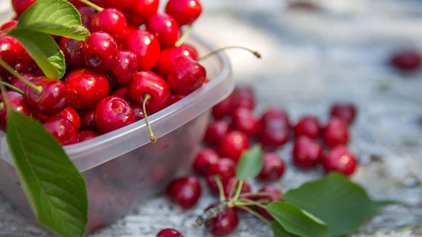 Red Fruit 桌布 壁紙 — 多汁的紅櫻桃連同綠葉從透明容器溢出到風化的木質表面上。