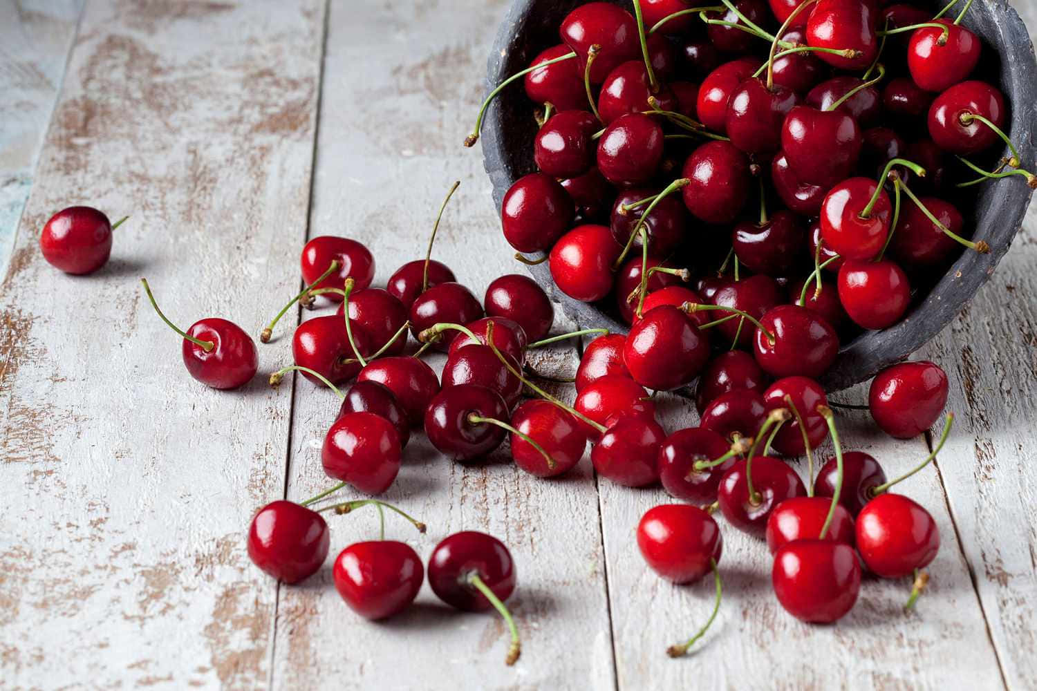 Red Cherries 桌布 壁紙 — 多汁的紅色櫻桃從一個深色碗中溢出，灑在一個風化的白色木質表面上。