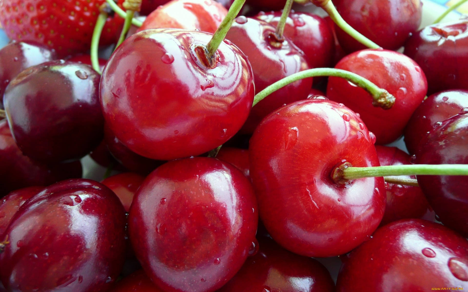 Cherry 桌布 壁紙 — 多汁的紅色櫻桃閃爍著水滴，旁邊有一顆草莓。