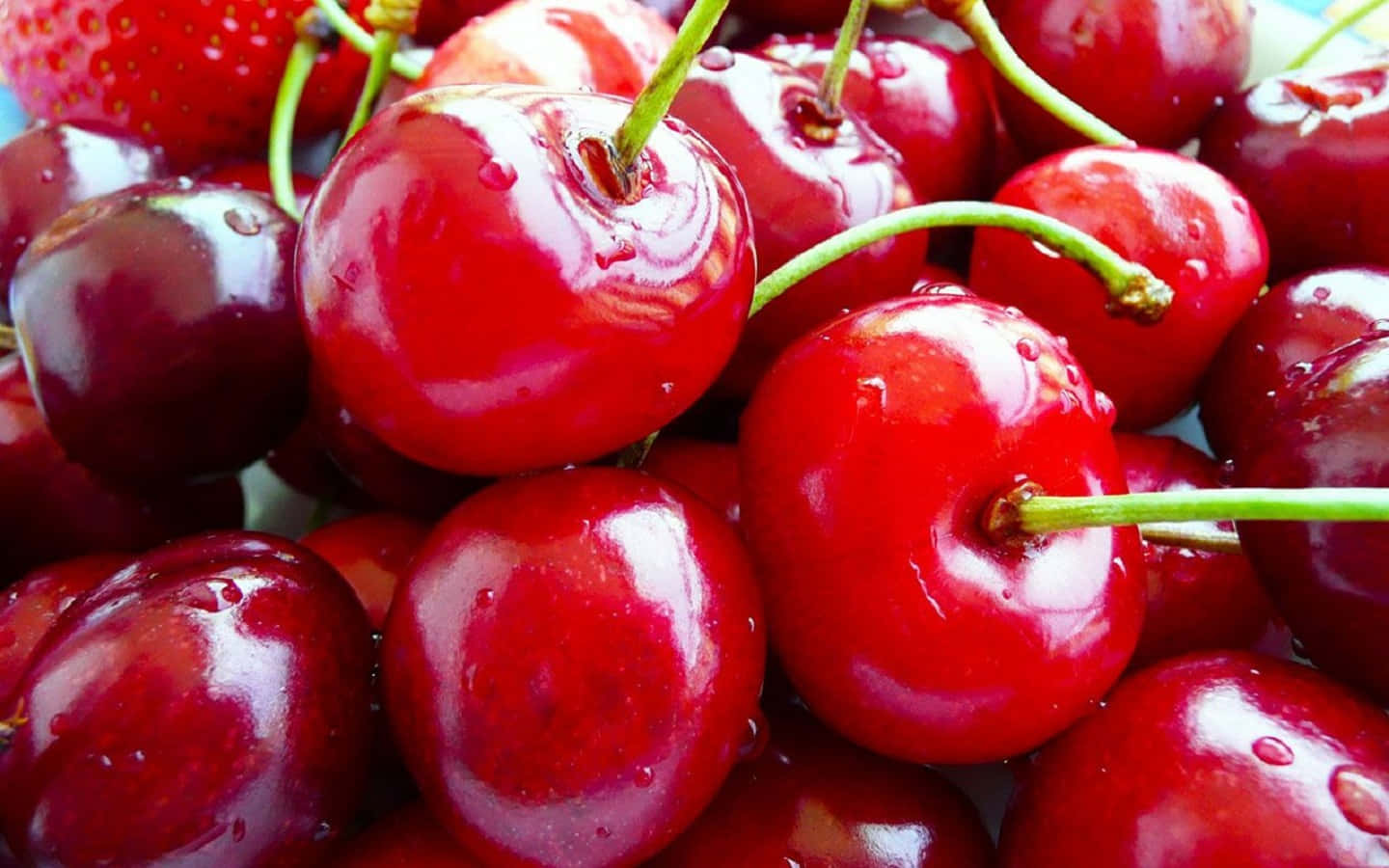 Cherry 桌布 壁紙 — 多汁的紅色櫻桃閃爍著水滴和綠色莖，背景模糊。