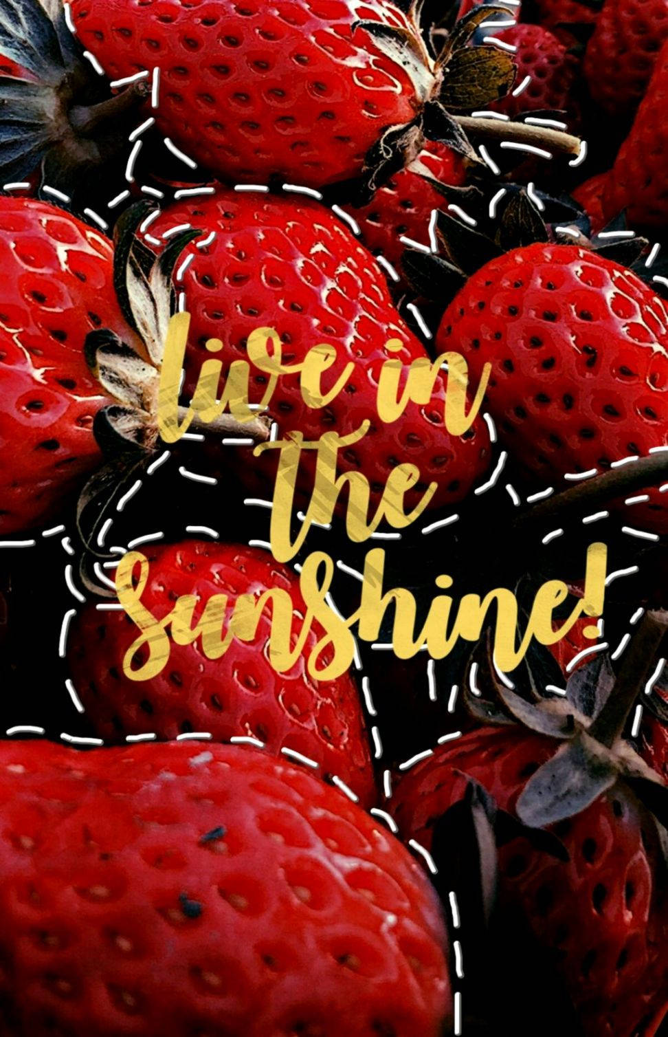 草莓 桌布 壁紙 — 多汁的紅色草莓，金色文字寫著 live in the sunshine，背景為深色帶白色虛線。