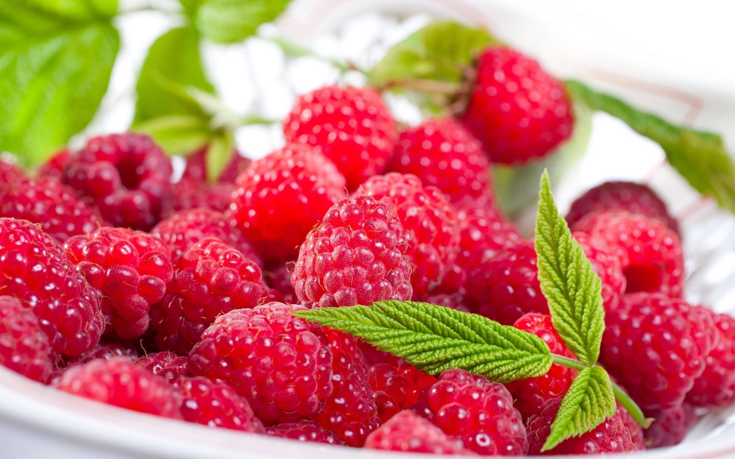 Berry 桌布 壁紙 — 多汁的紅覆盆子在白色碗中閃閃發光，新鮮的綠葉增添了充滿活力的自然氣息。