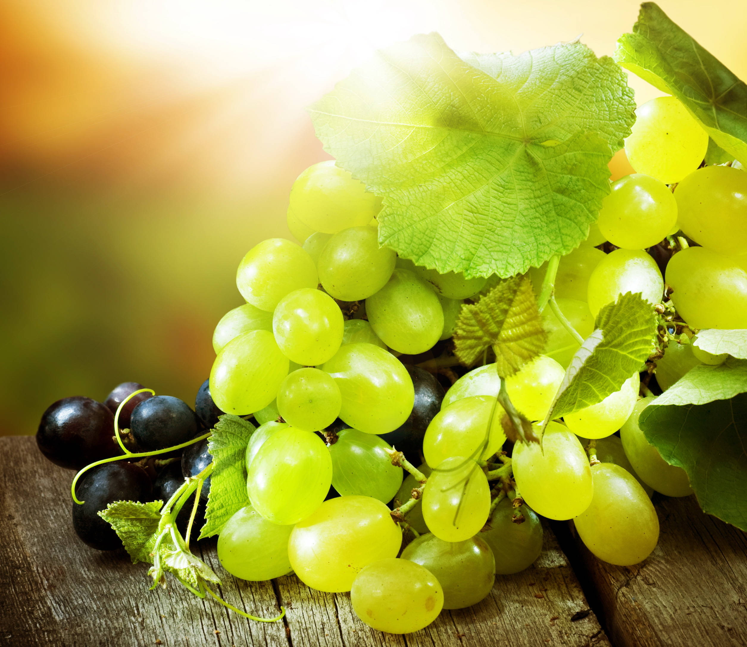 Grape 桌布 壁紙 — 多汁的綠色和黑色葡萄連同葉子放在經風化的木頭上，沐浴在溫暖的金色陽光下。