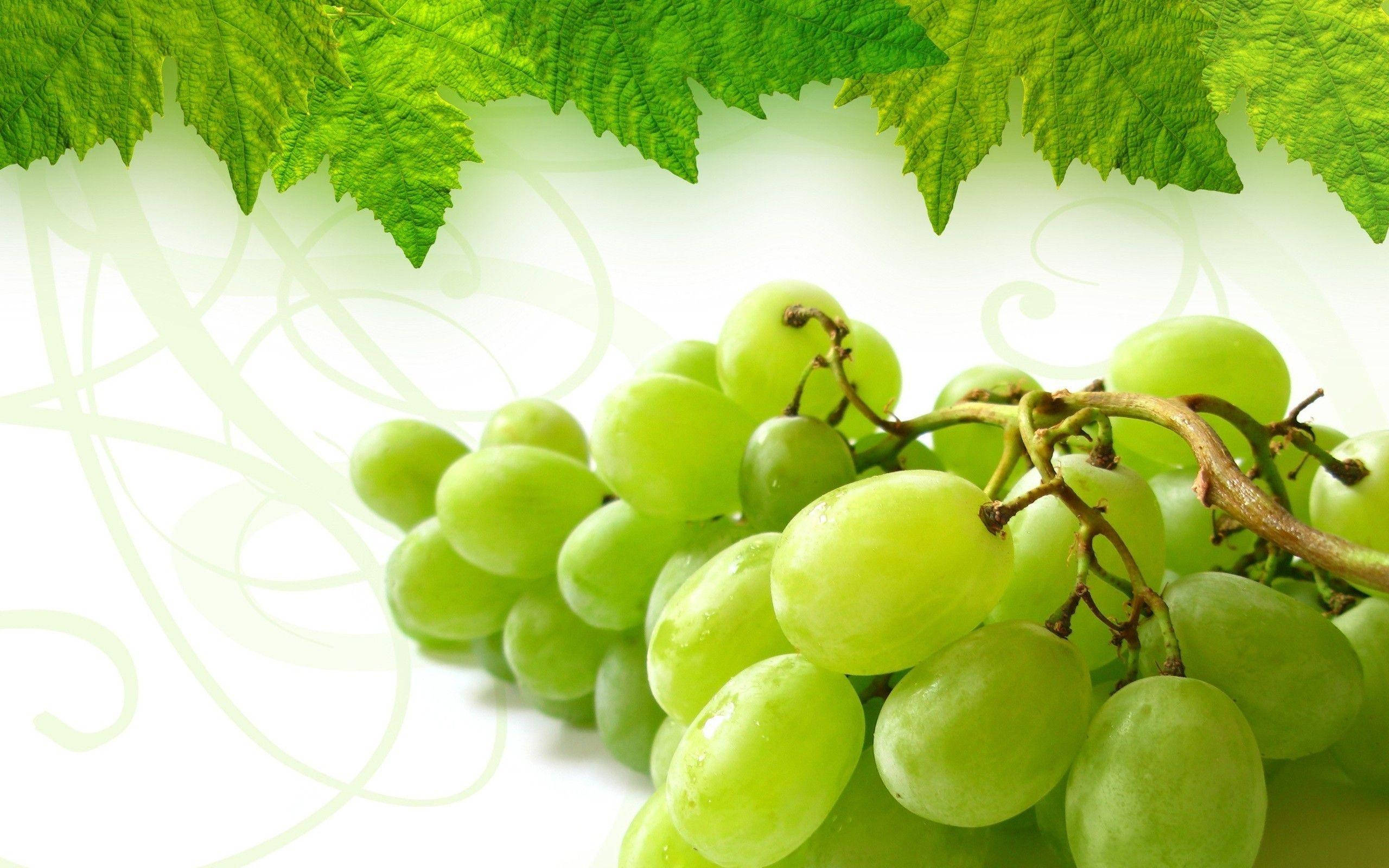 Fruit 桌布 壁紙 — 多汁的綠色葡萄在柔和光線下閃閃發光，被鮮豔的葉子環繞，襯以精緻的漩渦背景。