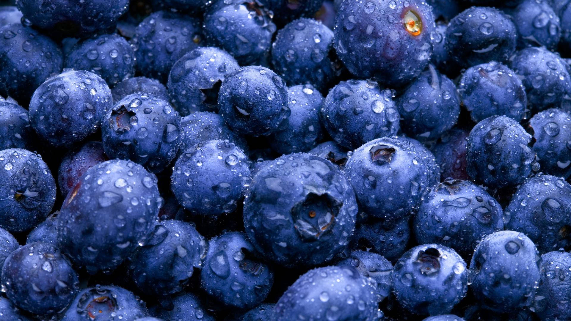 Berry 桌布 壁紙 — 多汁的藍莓在柔和光線下閃爍著露珠，展現出深藍色調和紋理表皮。