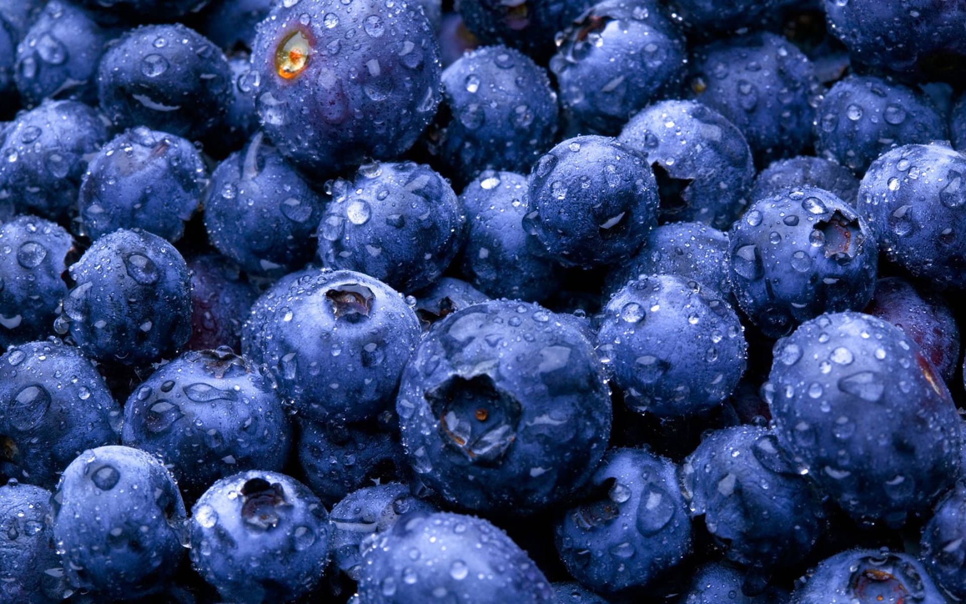 Berry 桌布 壁紙 — 多汁的藍莓在柔和光線下閃爍著露珠，展現出深藍色調和紋理表皮。