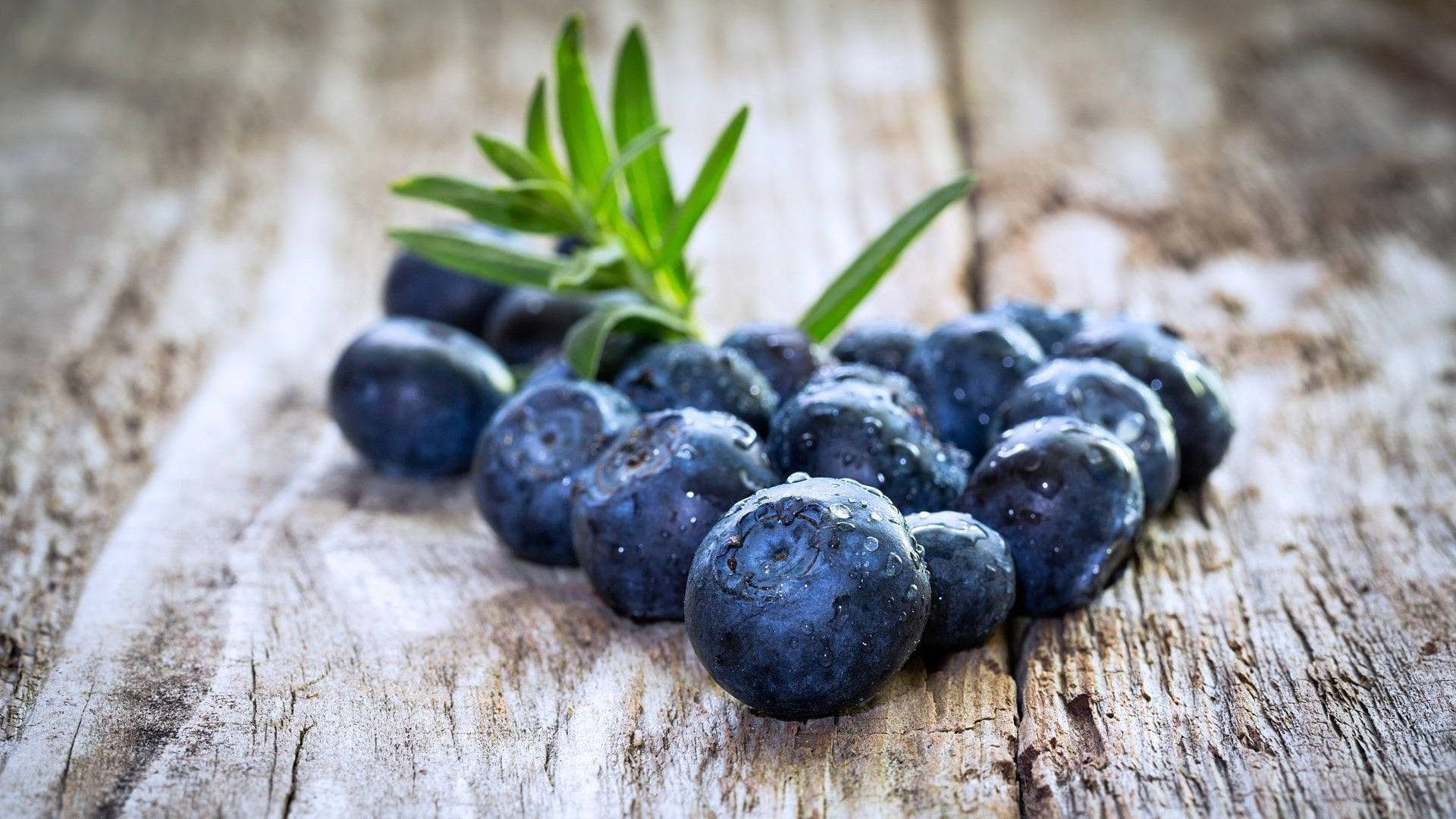 Blueberry 桌布 壁紙 — 多汁的藍莓沾著露珠閃閃發光，旁邊放著一枝迷迭香，置於風化的木板上。