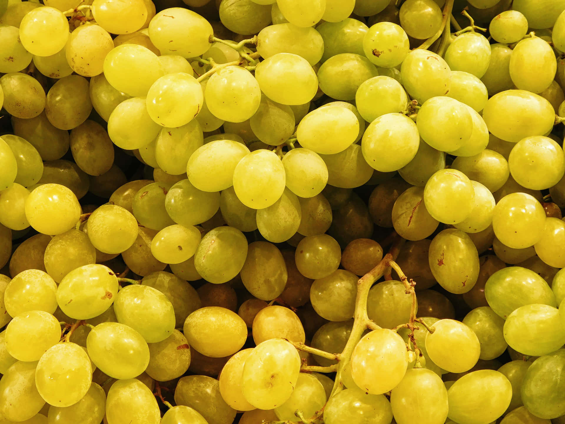 Grape 壁紙 — 多汁青葡萄緊密簇擁在莖上，帶柔和金色高光的特寫。