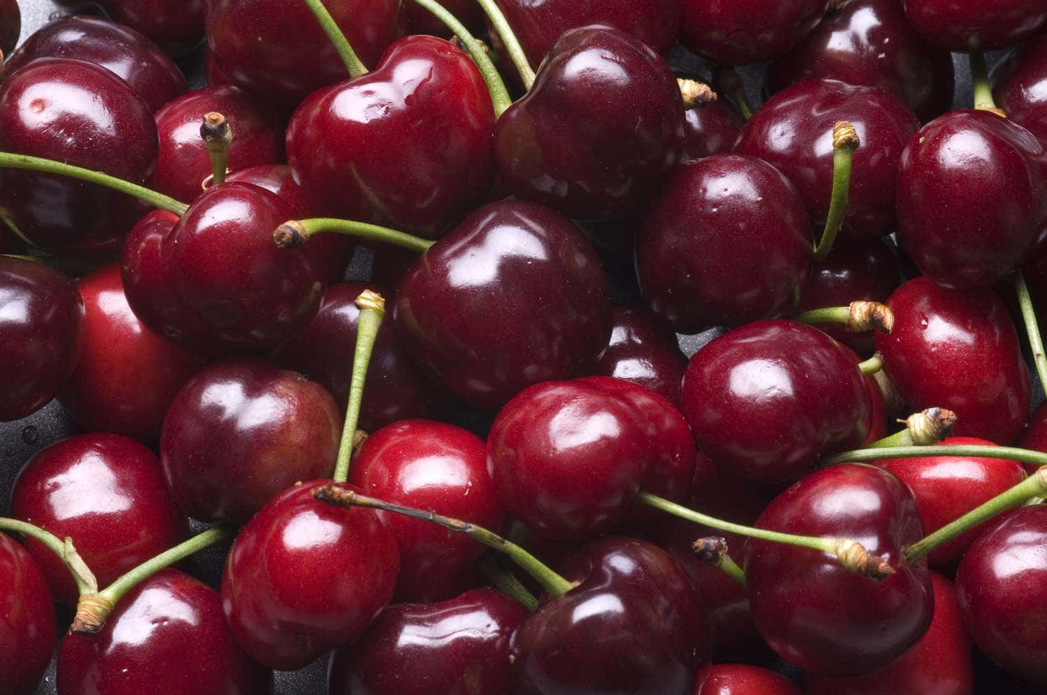 Red Cherries 桌布 壁紙 — 多汁飽滿的櫻桃在深色背景下閃爍著露珠，展現出豐富的紅色和綠色。