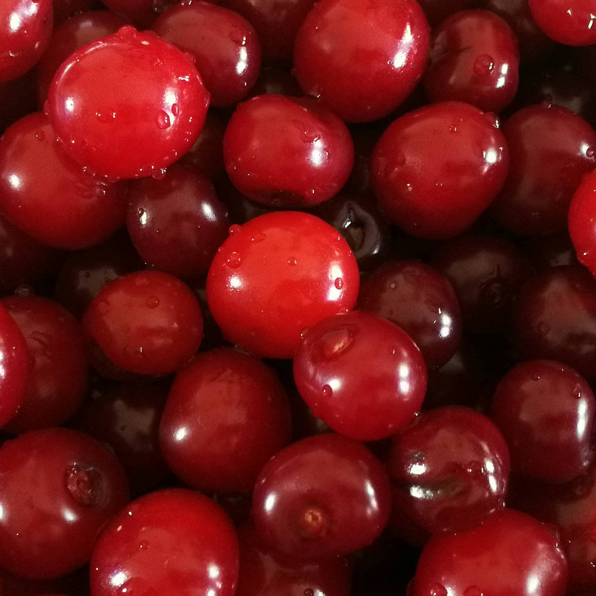 Fruit 桌布 壁紙 — 多汁飽滿的櫻桃在鮮紅色的特寫中閃爍著露珠。