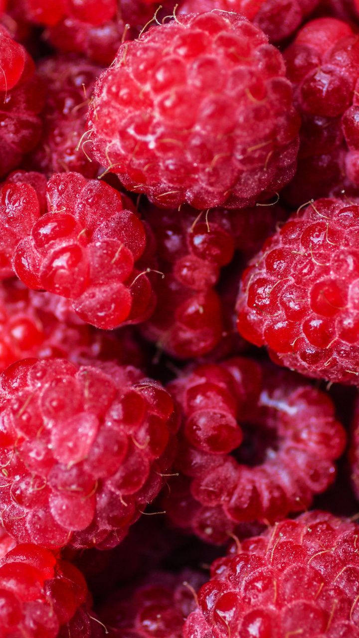 Fruit 桌布 壁紙 — 多汁飽滿的覆盆子在充滿活力的特寫微距鏡頭中閃爍著露珠。