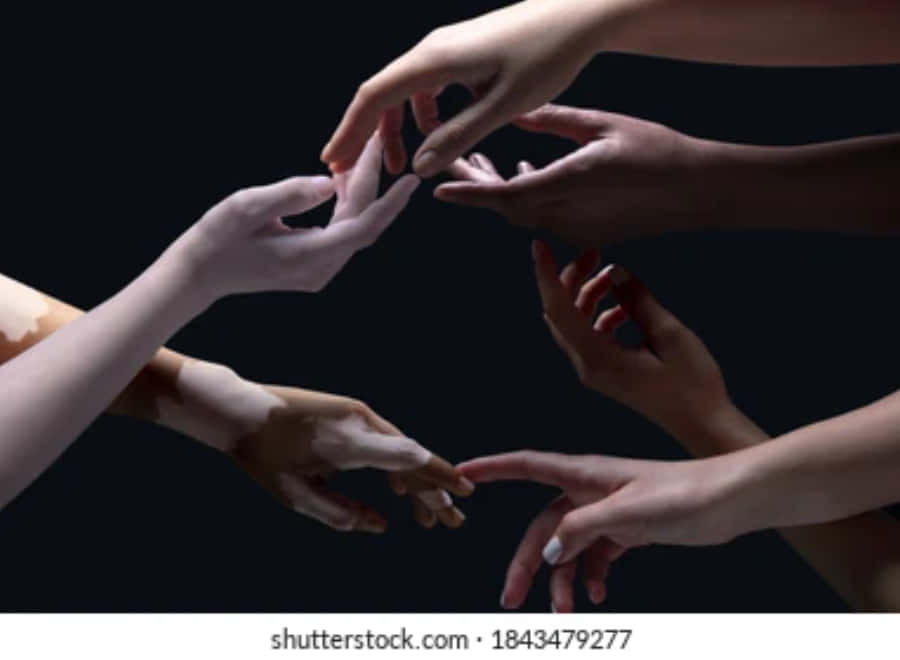 Creation Of Adam 4K 桌布 壁紙 — 多種不同的手在黑色背景上互相伸向對方，形成一個連接的圓圈。