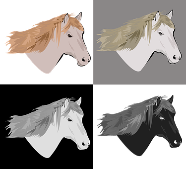 多種馬頭插圖 壁紙