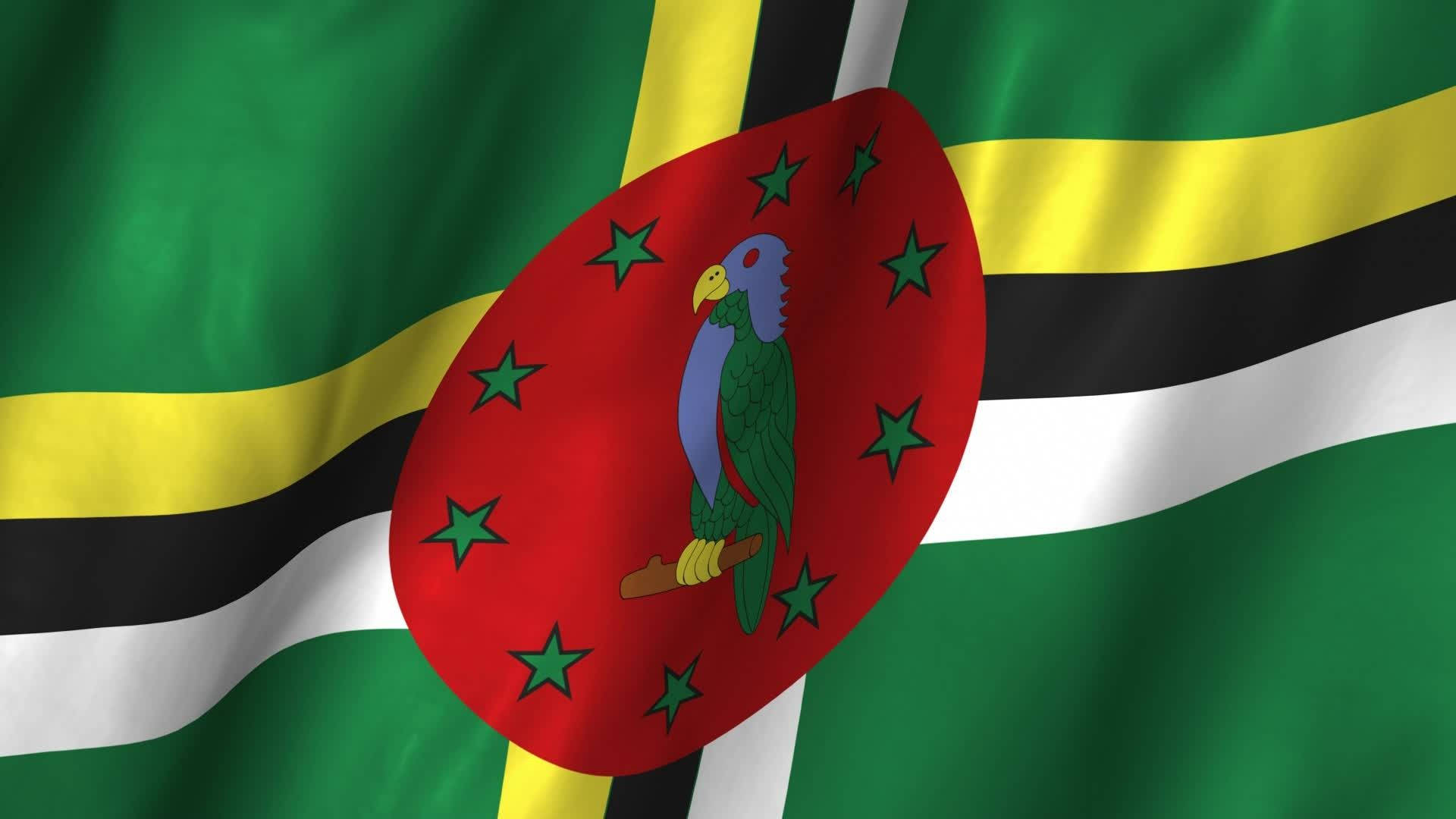 Dominica 桌布 壁紙 — 多米尼克國旗動態飄揚，帶有綠色、黃色、黑色和白色條紋，中央紅色圓盤上有一隻被綠色星星包圍的藍綠色鸚鵡。
