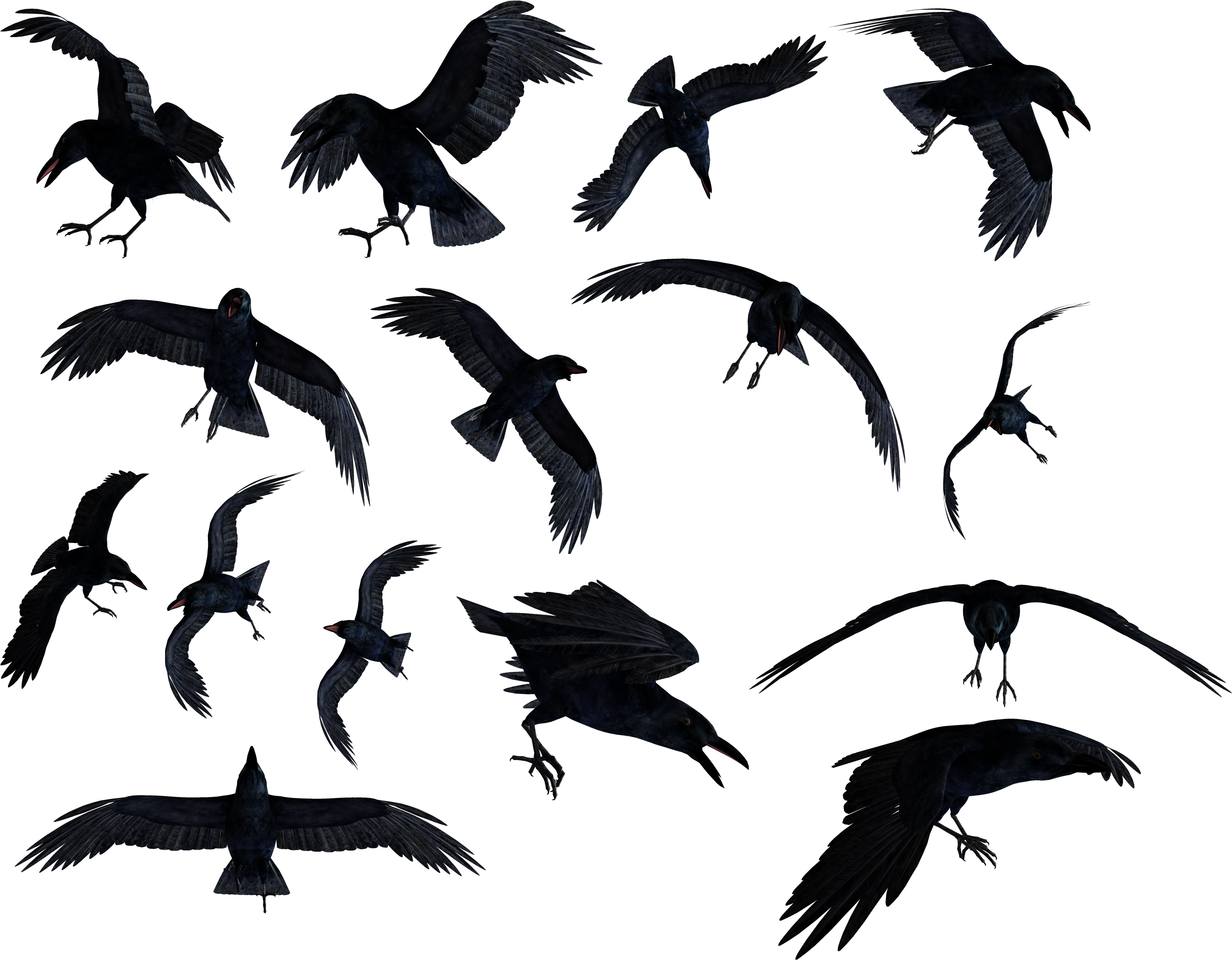 Raven 桌布 壁紙 — 多隻黑色烏鴉在純黑虛空中動態翱翔，微妙的燈光突顯牠們的羽毛。