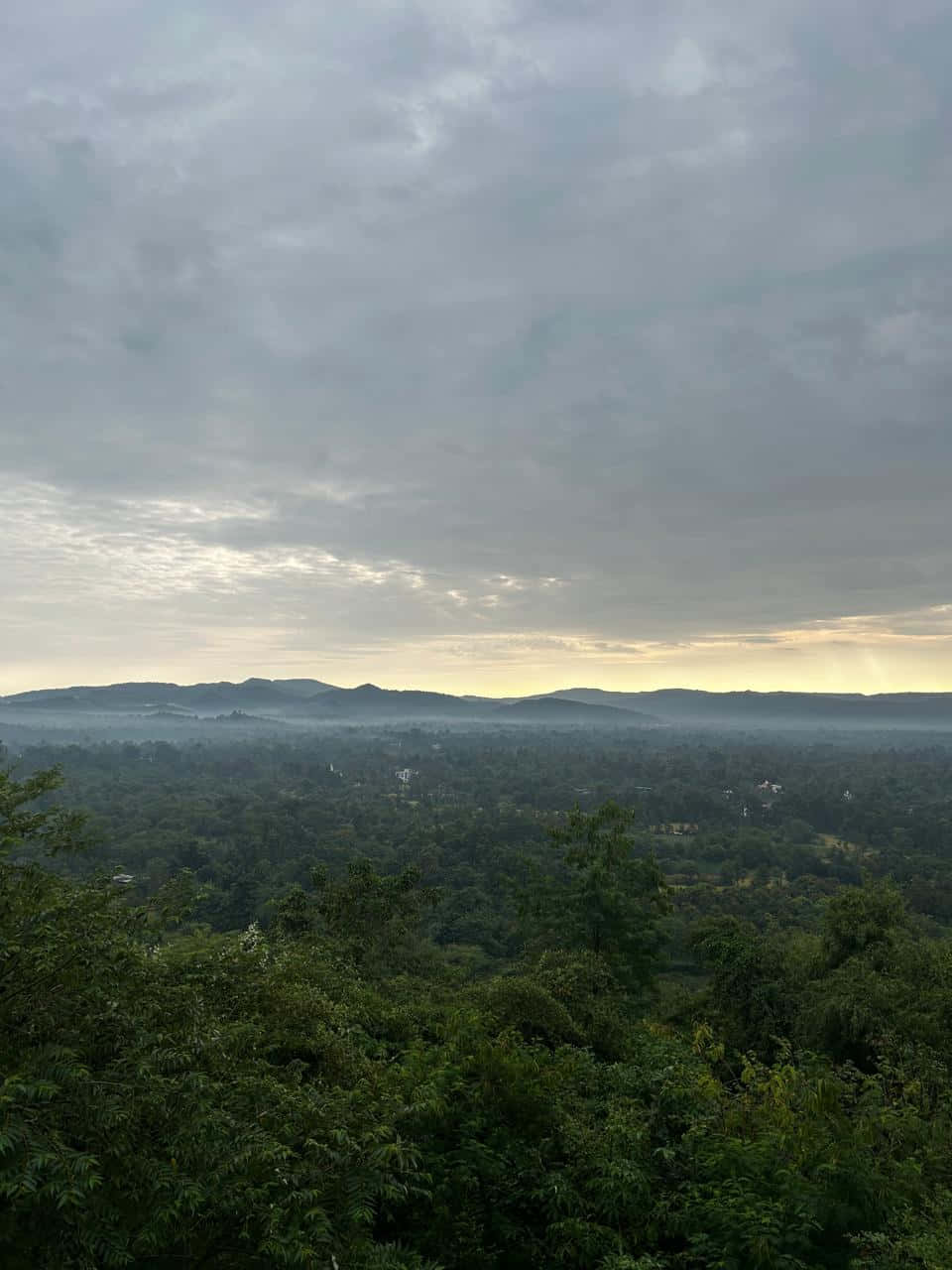 Morning at Shrimad Rajchandra Ashram 壁紙 — 多雲天空下，濃密綠色森林和起伏山丘上的霧氣黎明景色。