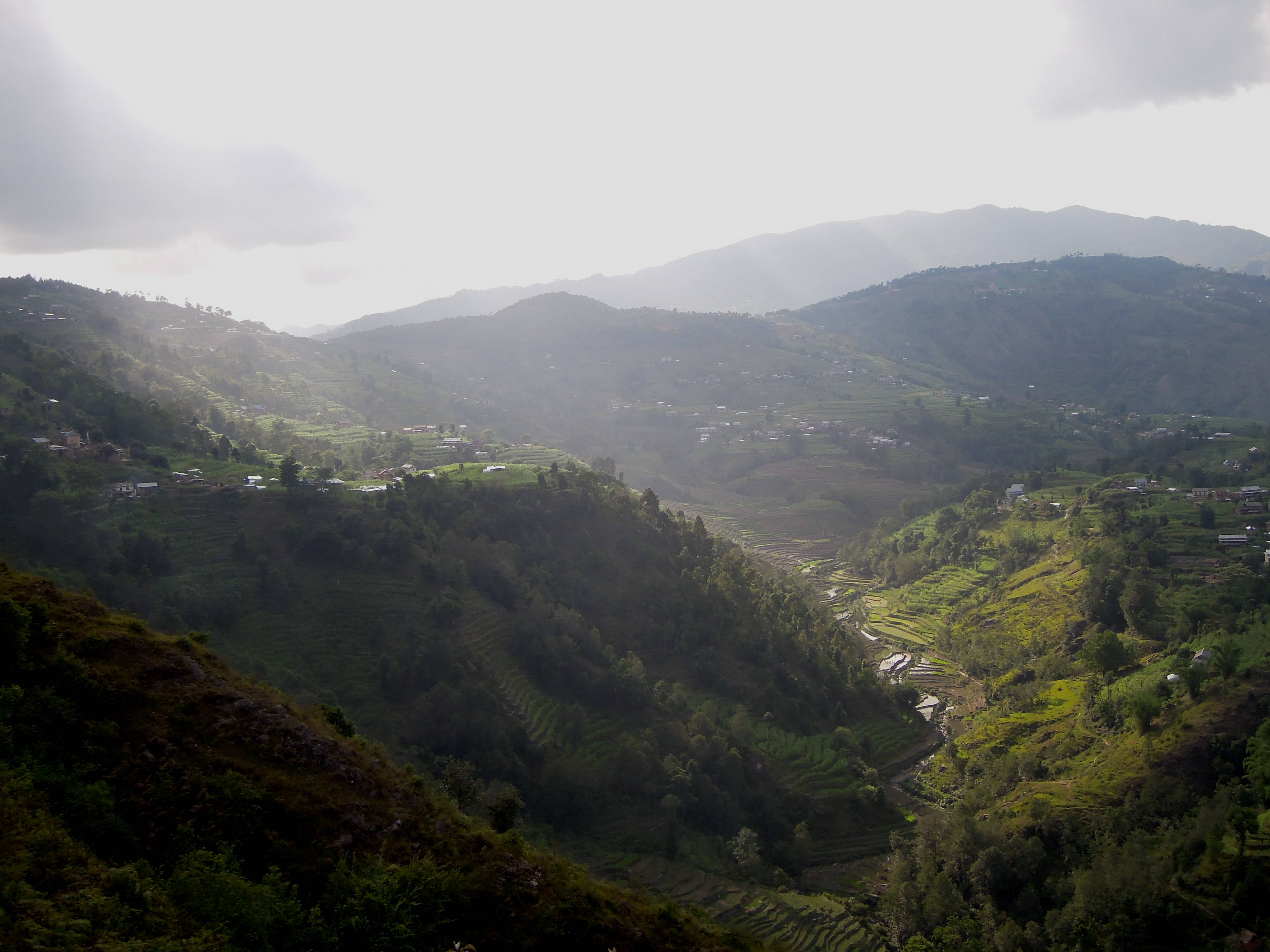 Nepal 桌布 壁紙 — 多雲天空下，迷霧山谷中梯田綠野蜿蜒穿過起伏的丘陵。