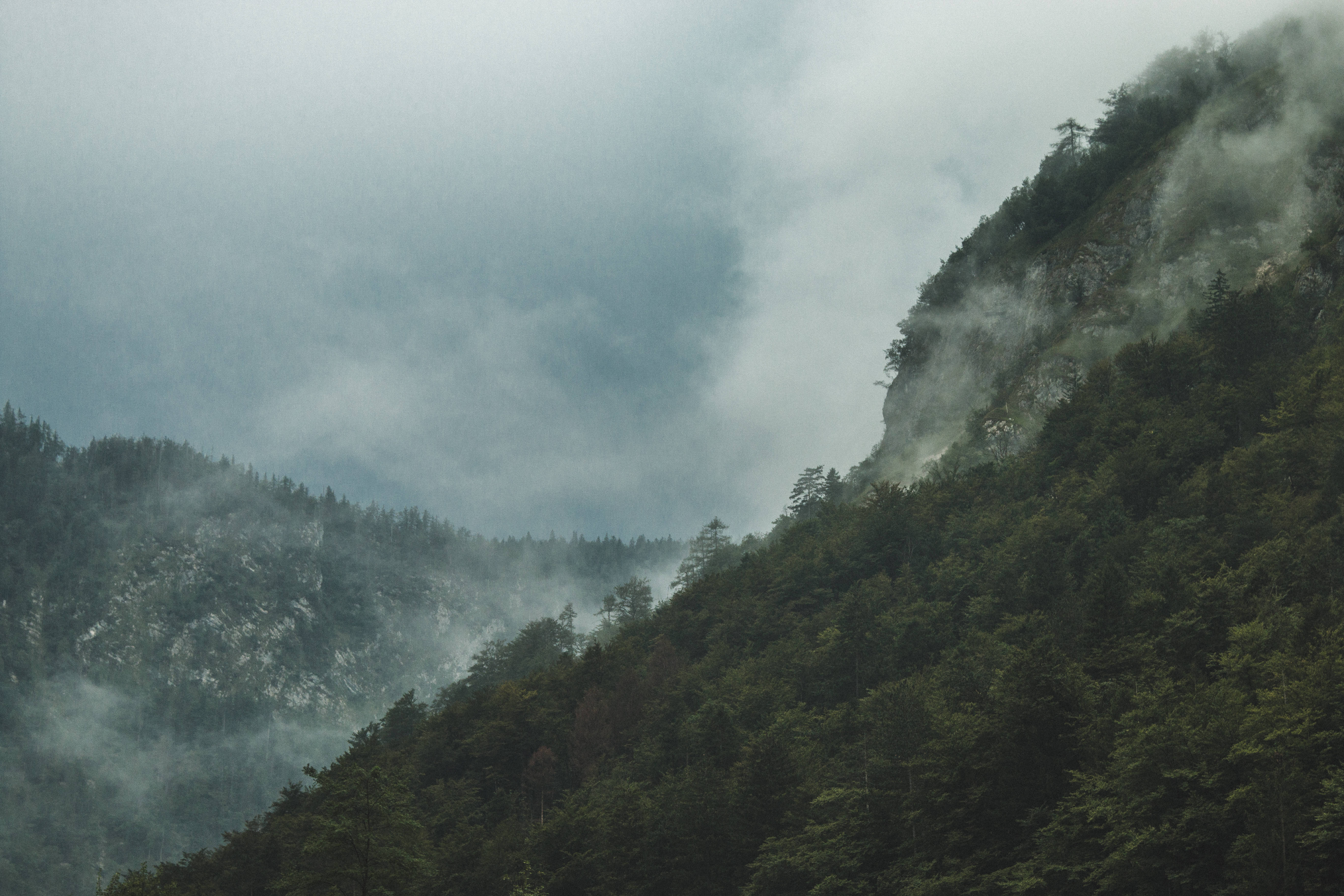 Slovenia 桌布 壁紙 — 多雲灰天下，濃密常綠森林覆蓋的霧山。