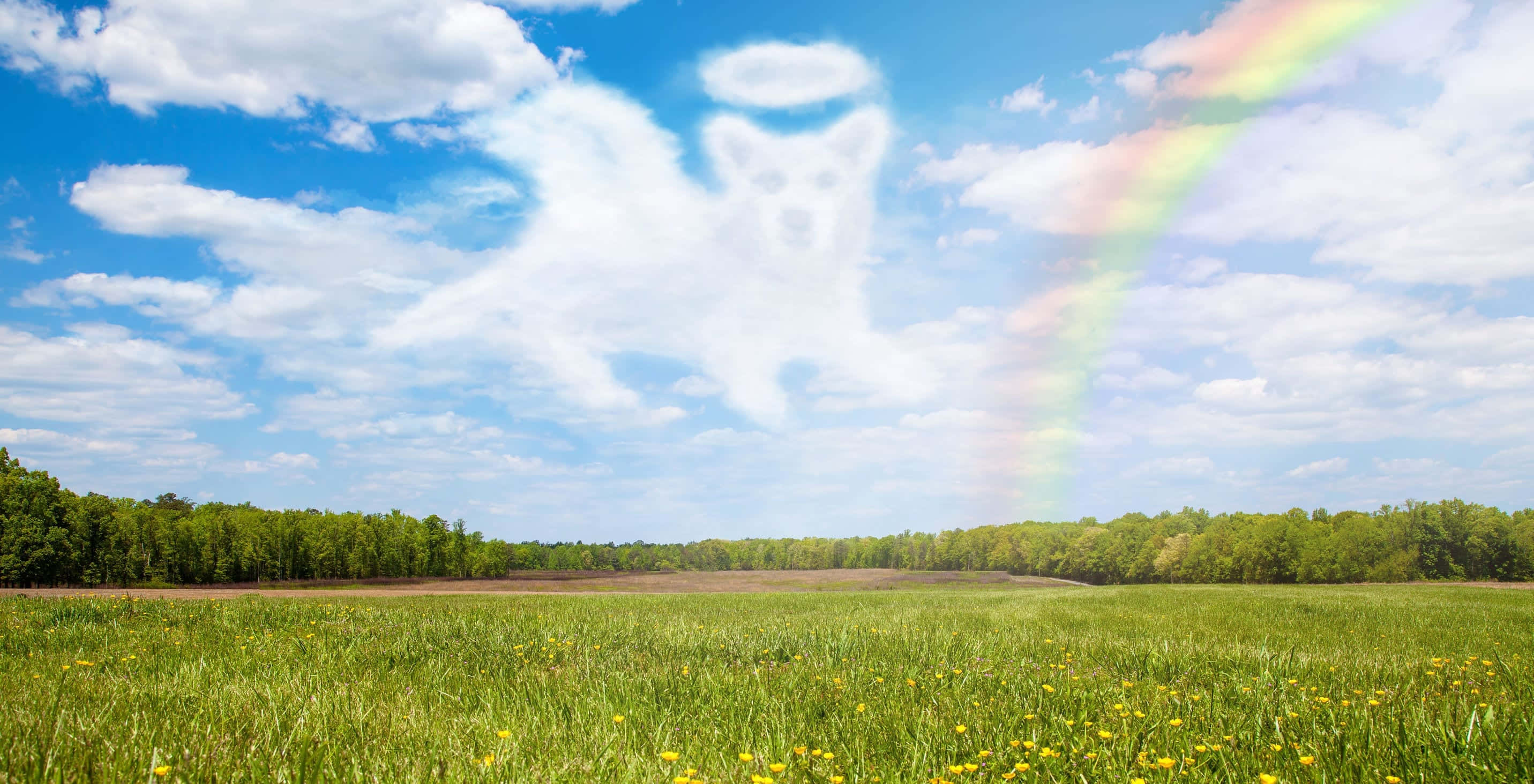 多雲的天空 壁紙