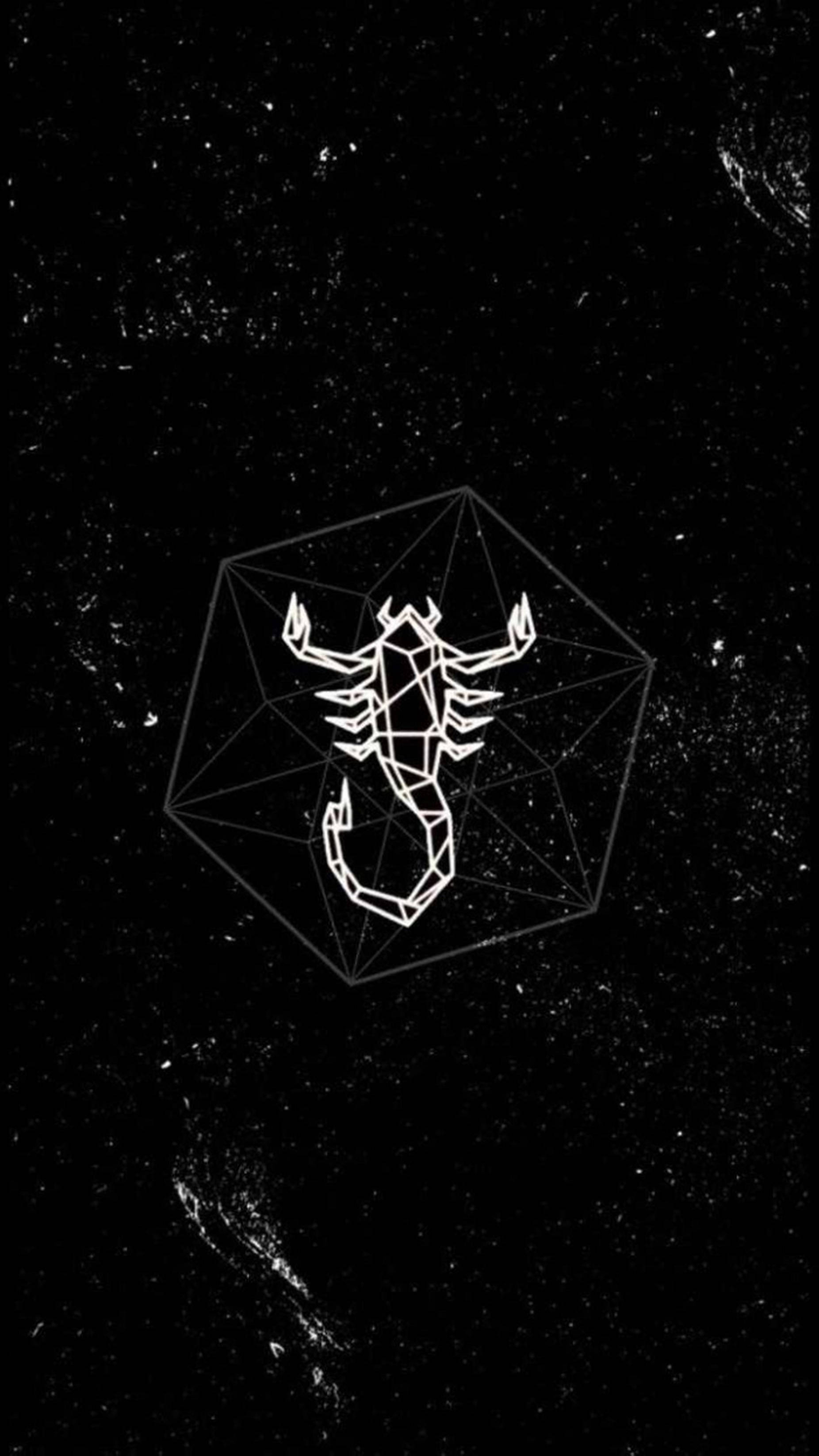 scorpion 桌布 壁紙 — 多面體內的幾何白色蠍子輪廓在星光宇宙黑色背景上漂浮。