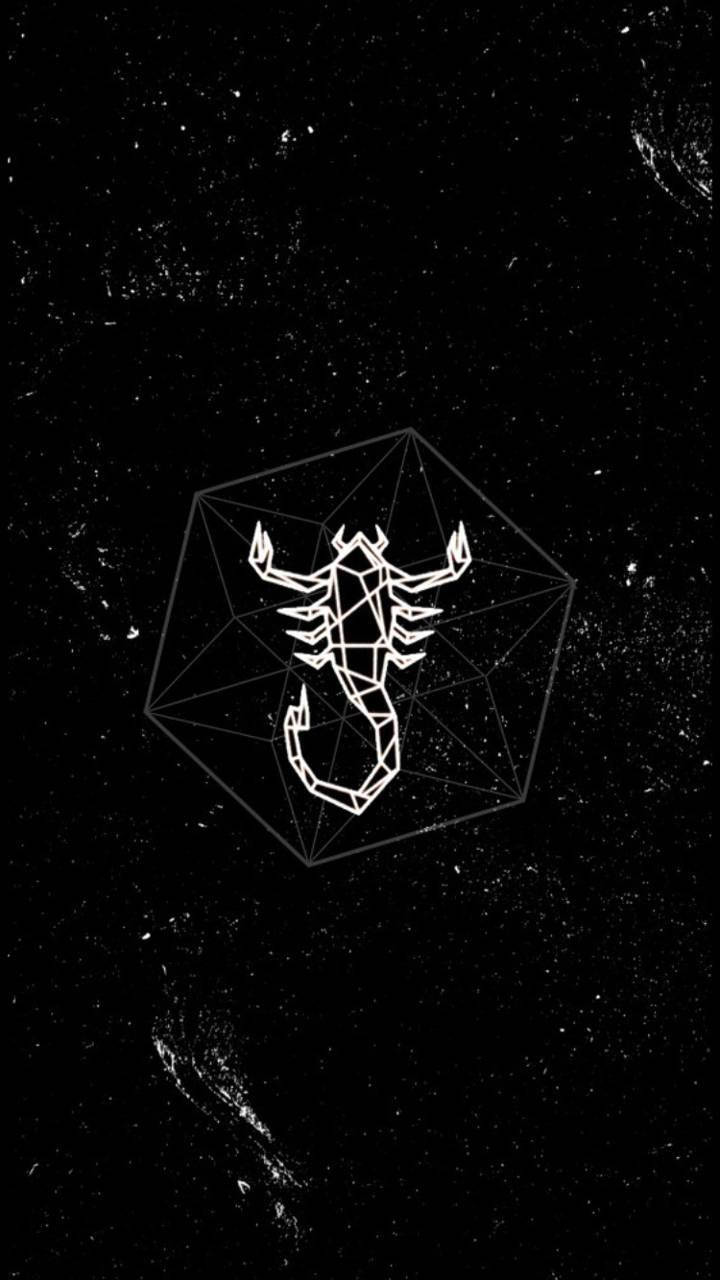 Scorpio 桌布 壁紙 — 多面體內的白色幾何蠍子輪廓漂浮在斑點黑色宇宙背景上。