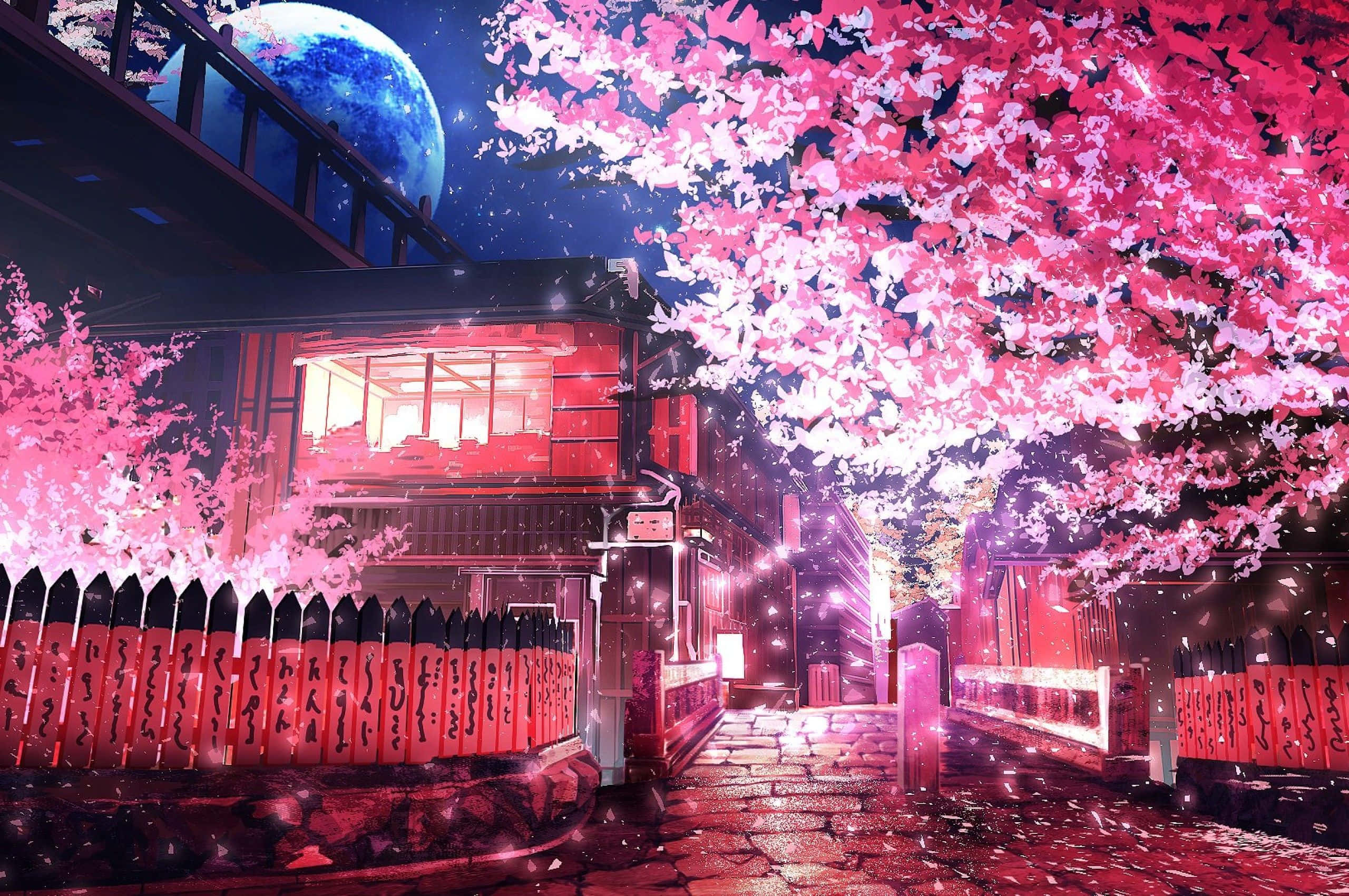 Cherry Blossoms Anime Scenery 桌布 壁紙 — 夜晚，一座發光的紅色日本神社在巨大的藍色月亮下，被鮮豔的粉紅色櫻花環繞。