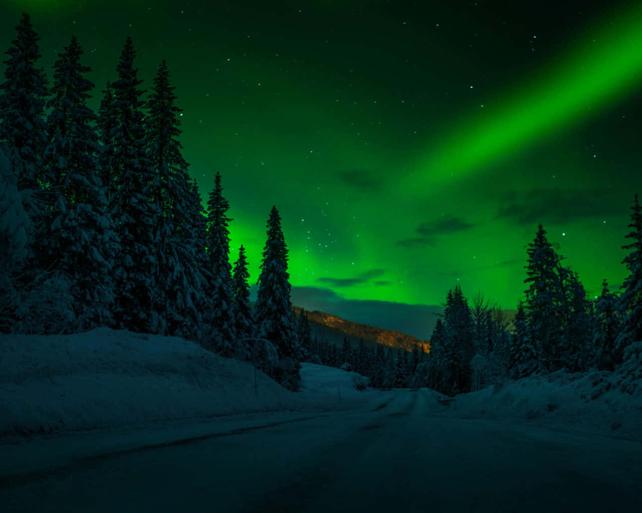 桌布 壁紙 — 夜晚，一條積雪的森林道路，在充滿活力的綠色北極光下，極光在星空舞動。